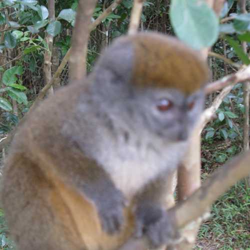 Madagascar