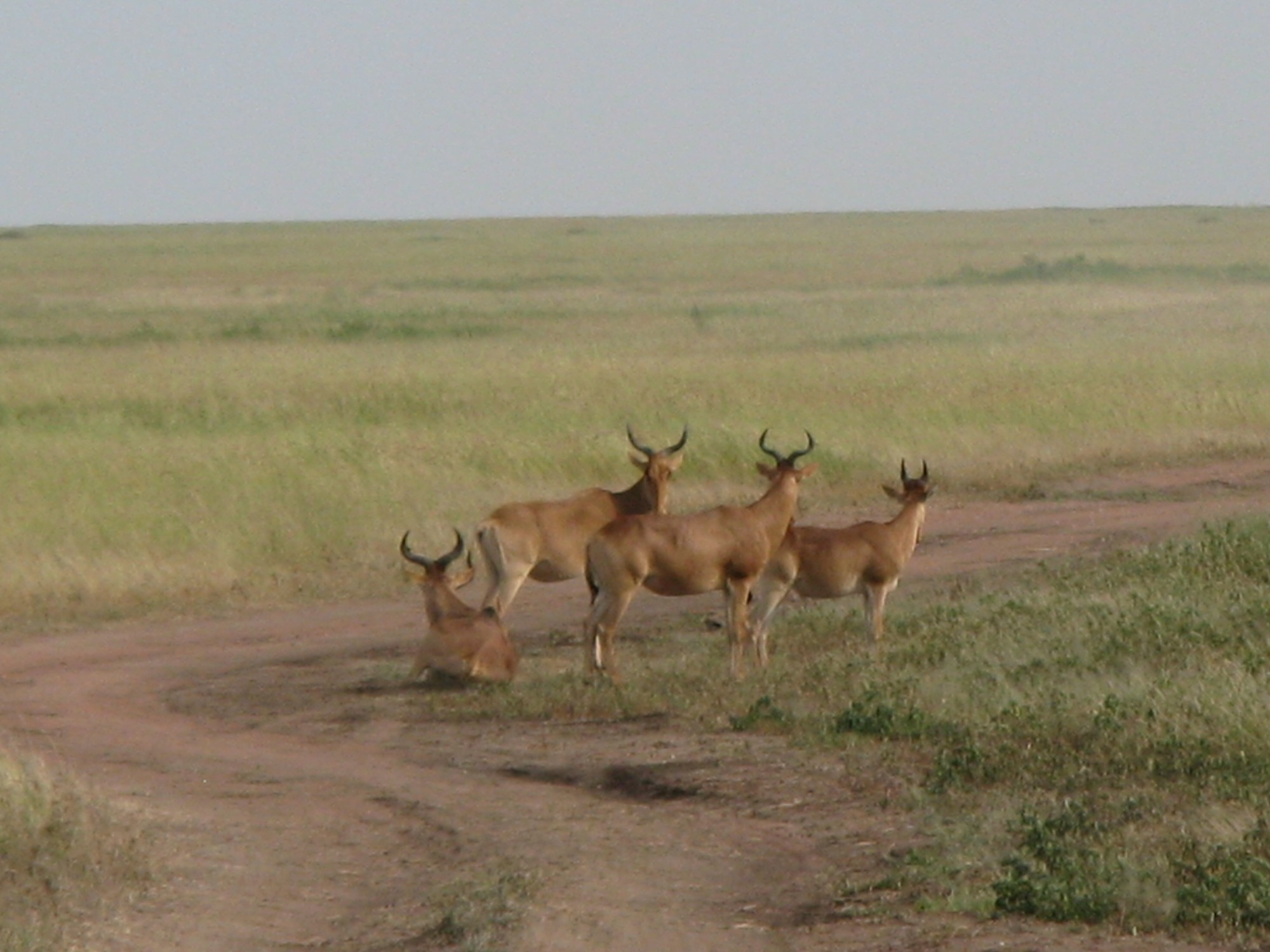 Tanzania