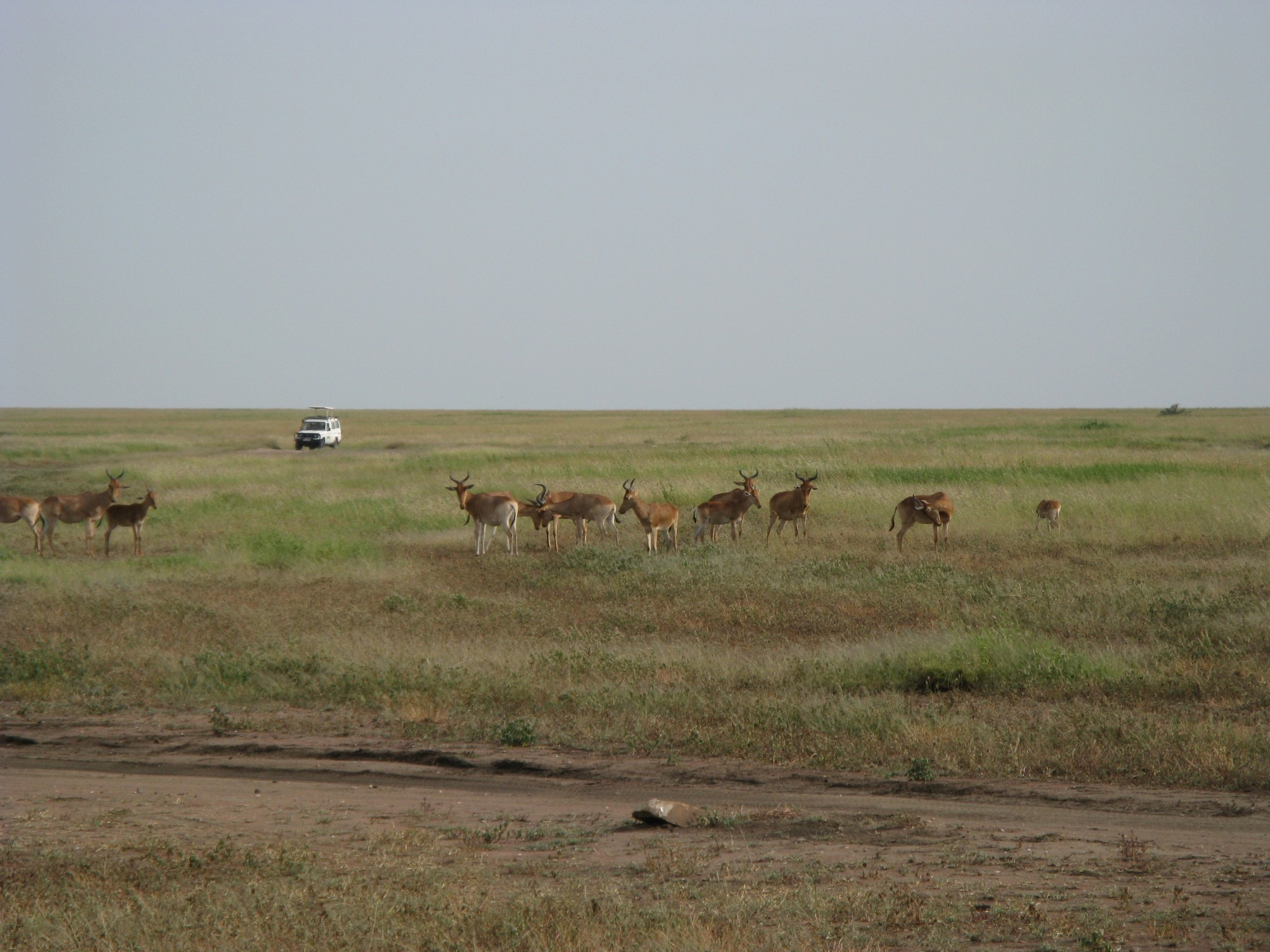 Tanzania