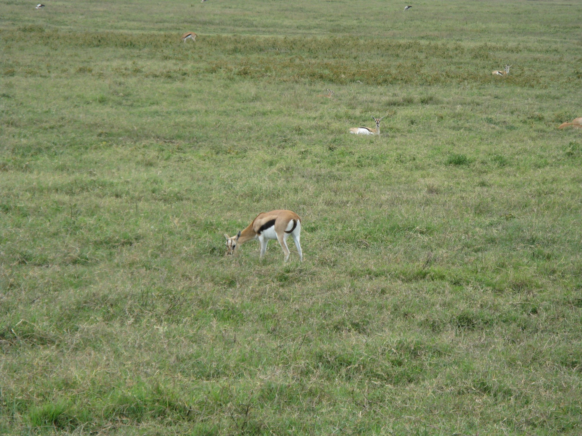 Tanzania