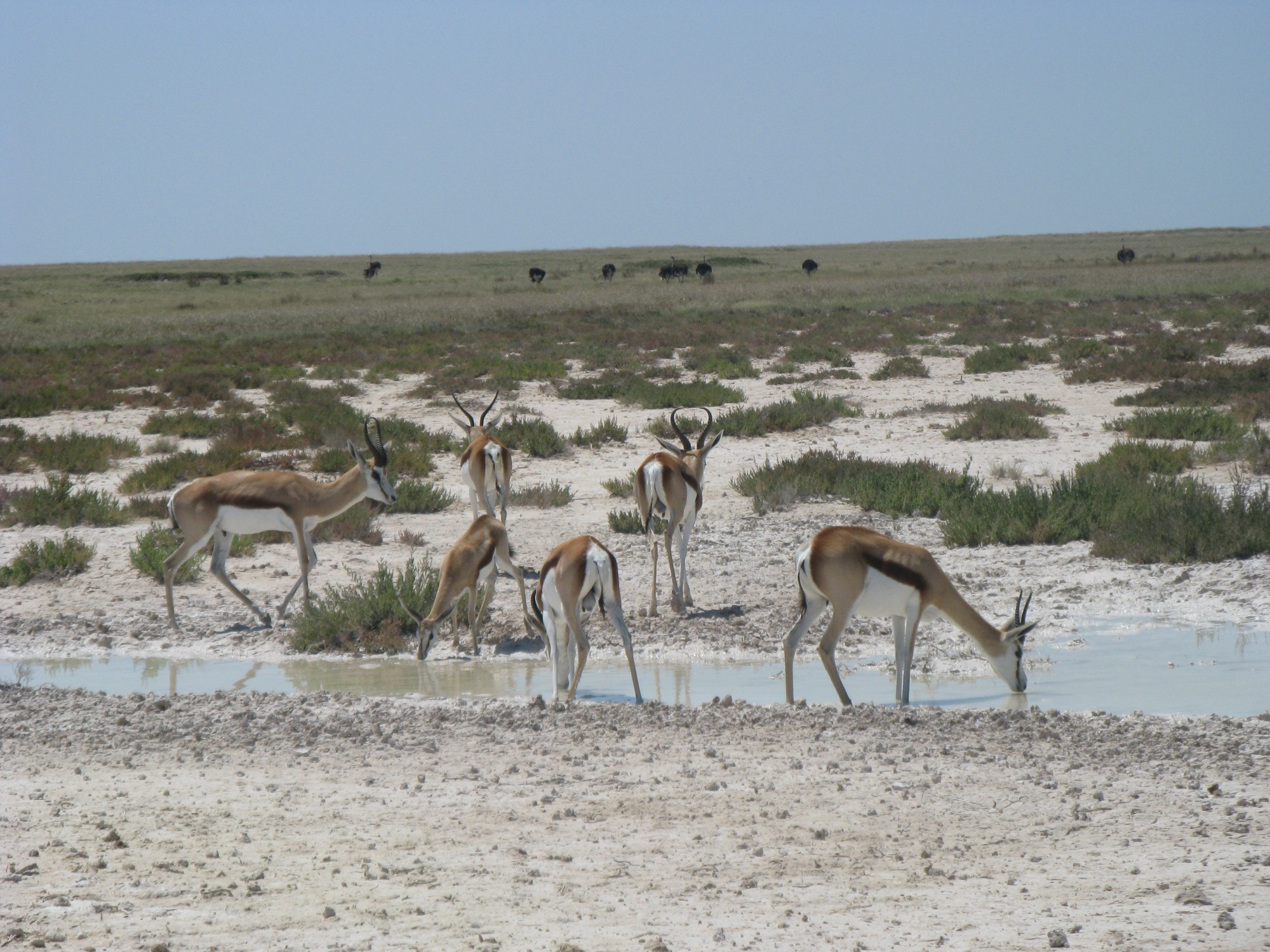 Namibia