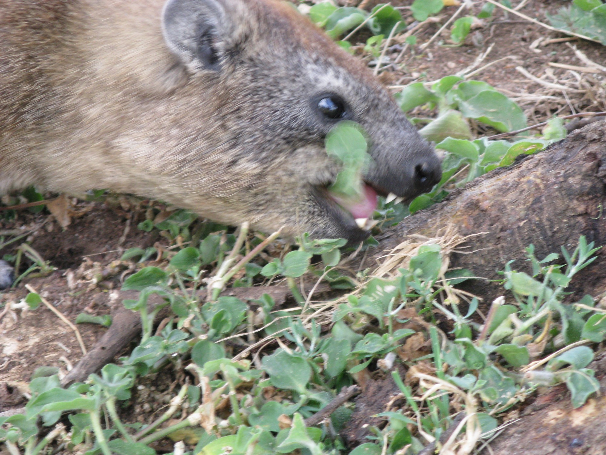 Tanzania