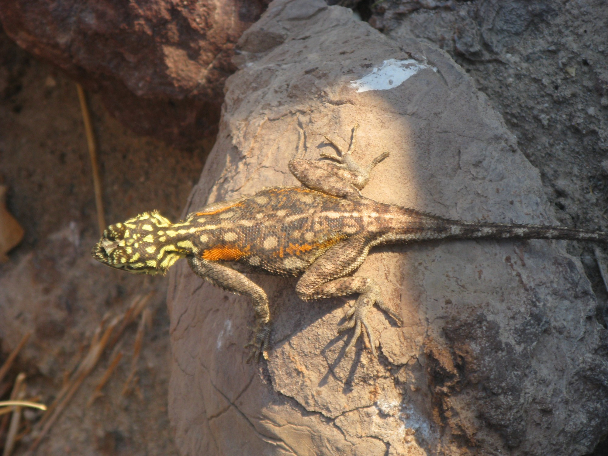 Namibia