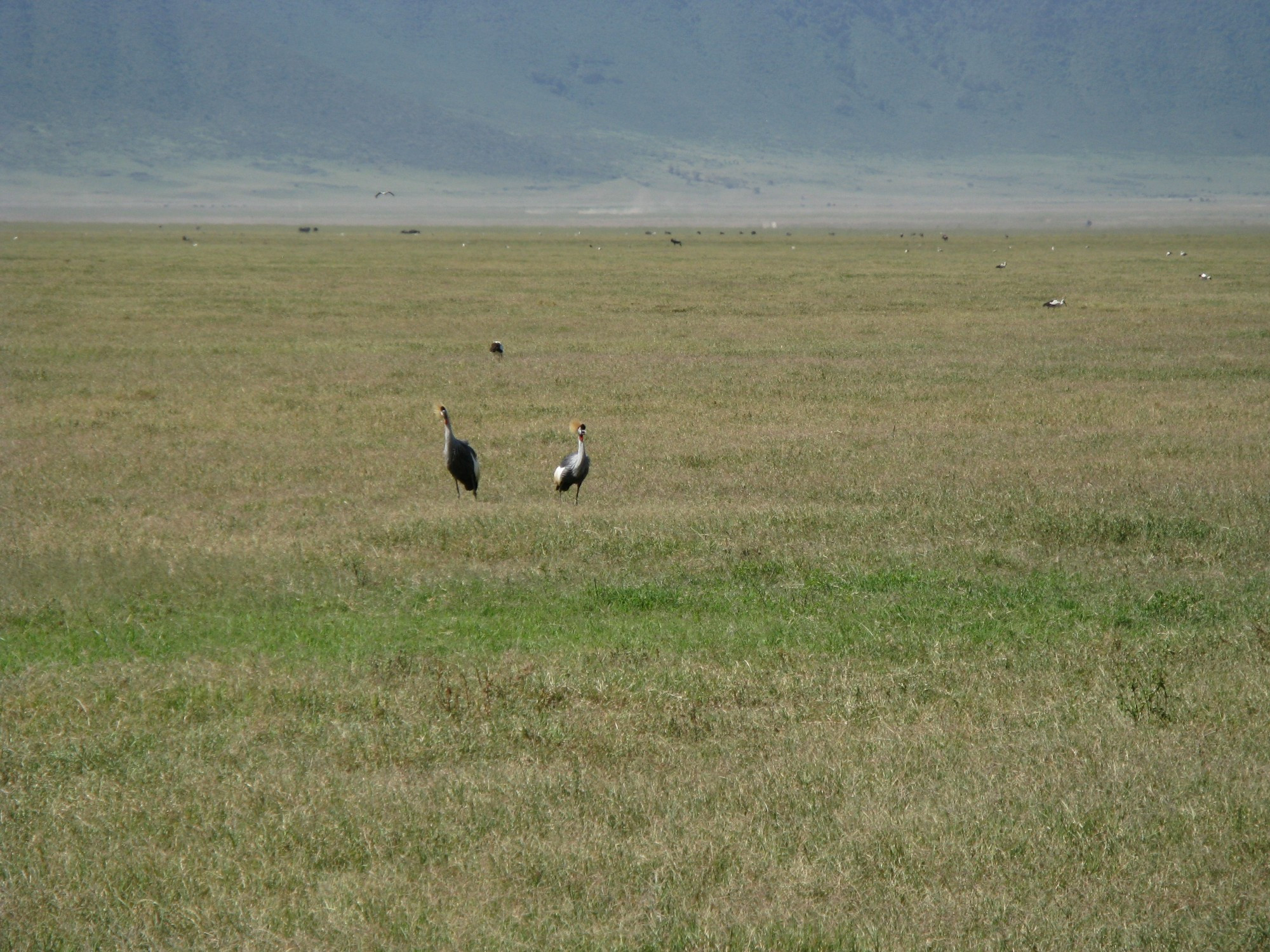 Tanzania