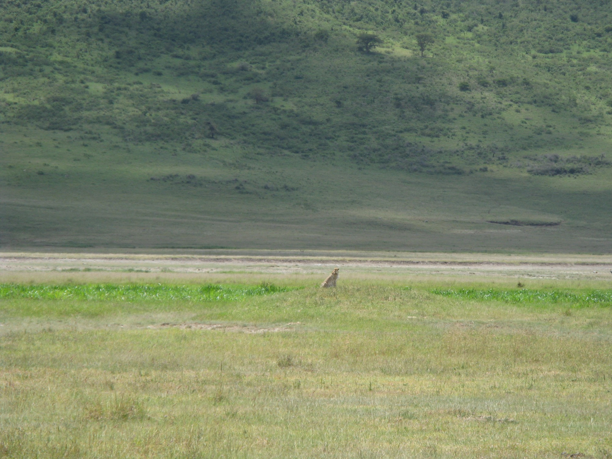 Tanzania