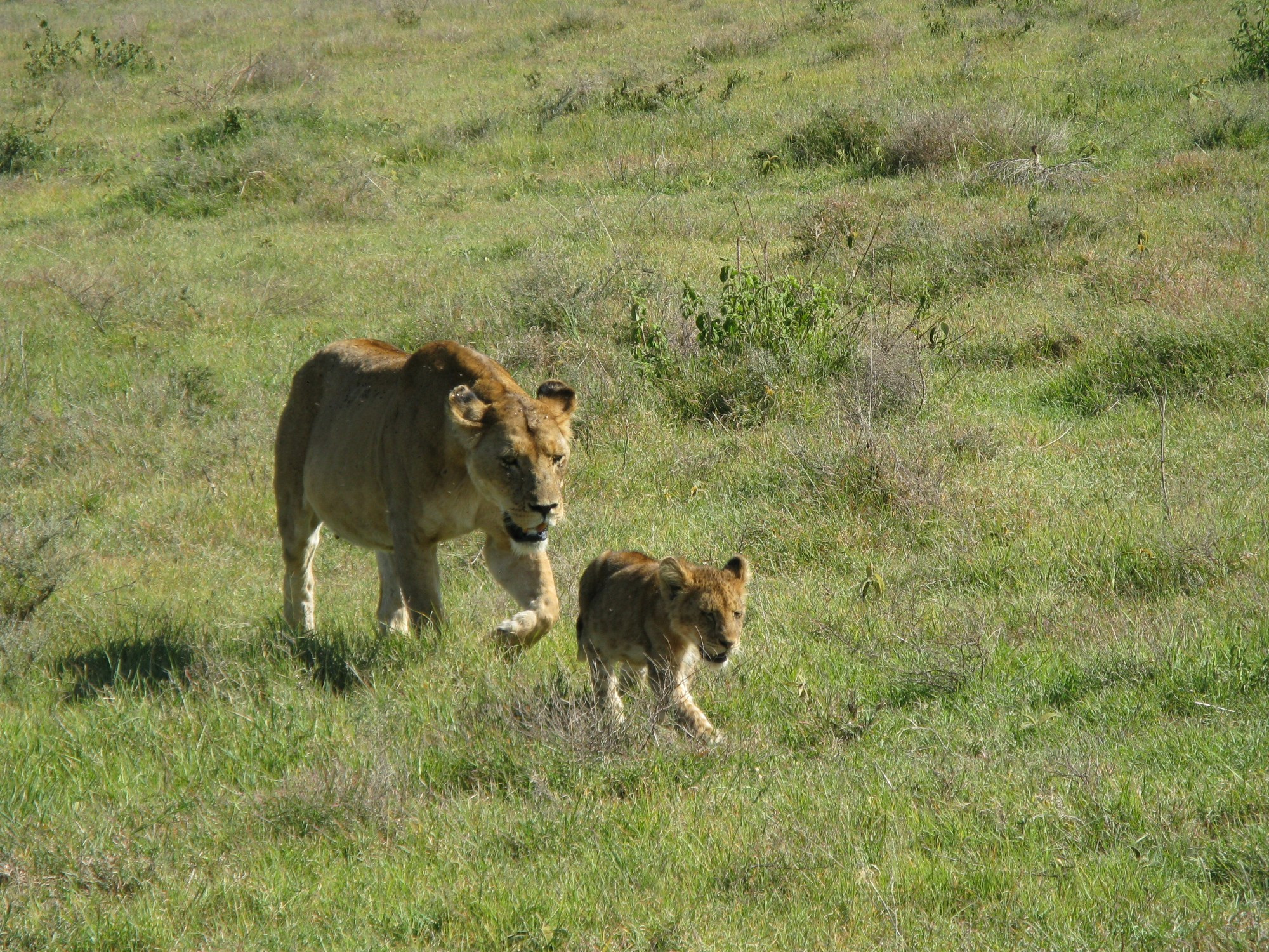 Tanzania