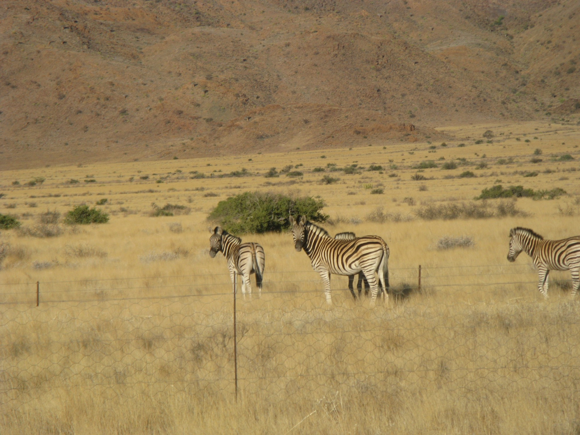 Namibia