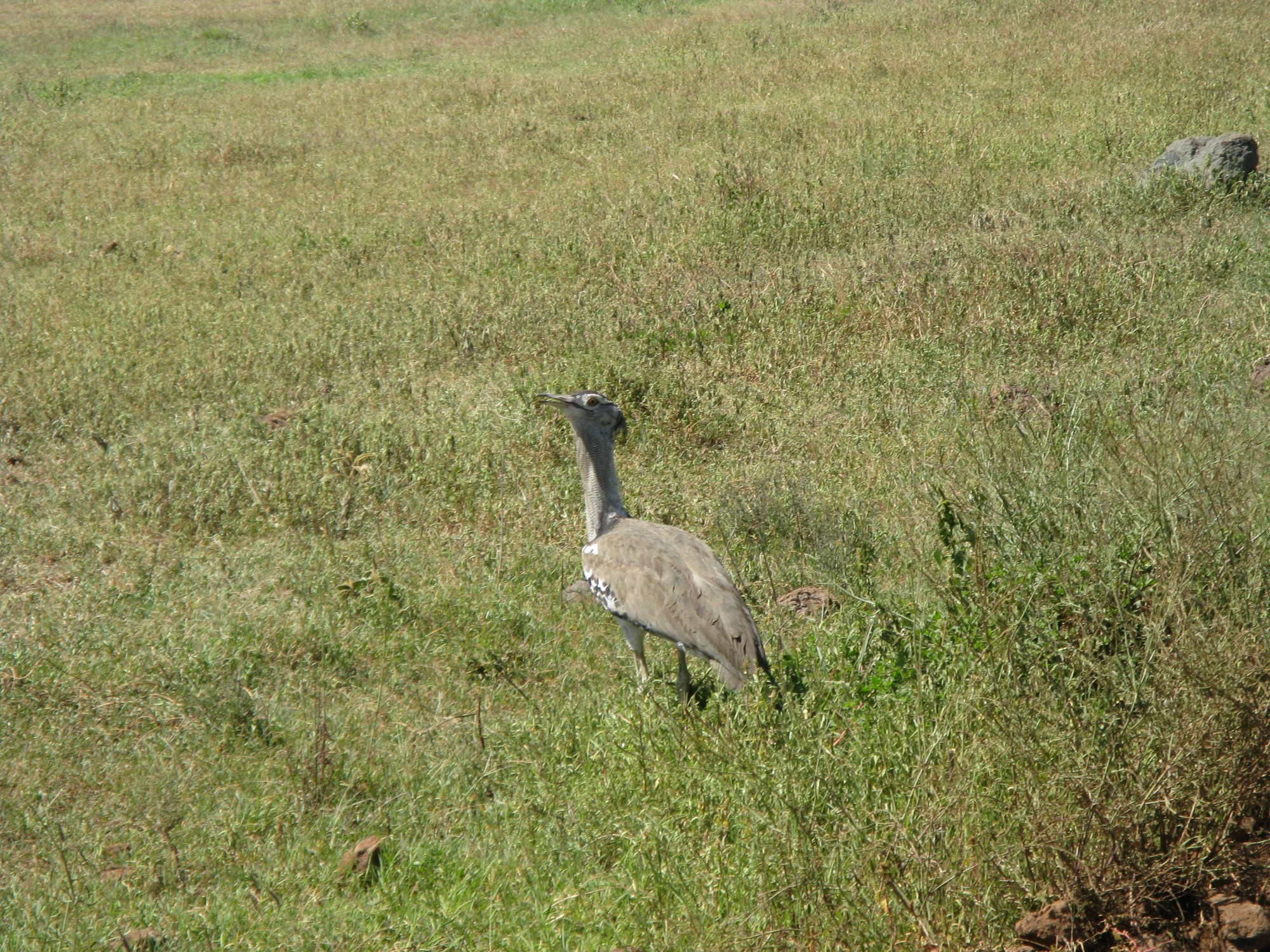 Tanzania