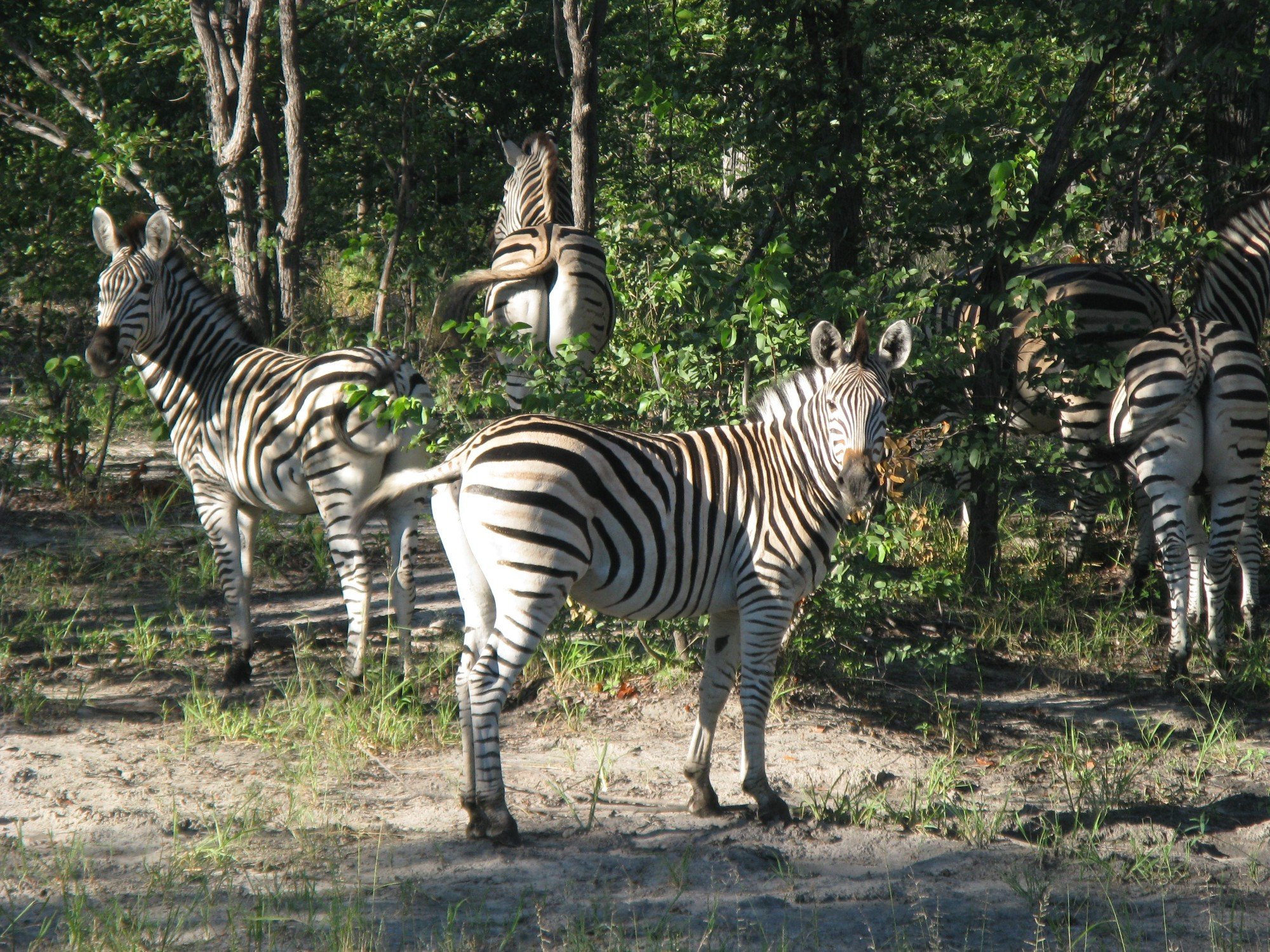 Botswana