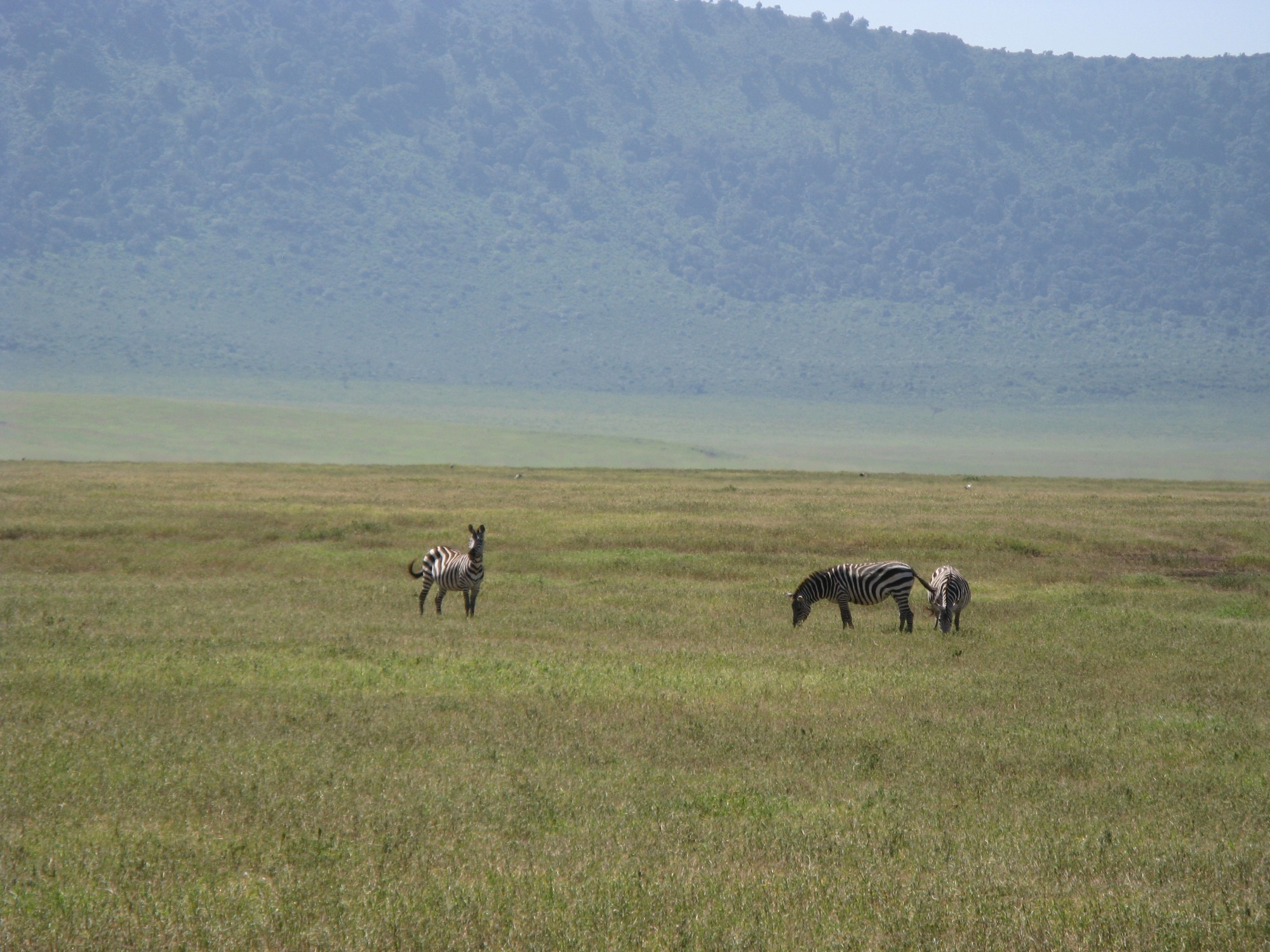 Tanzania