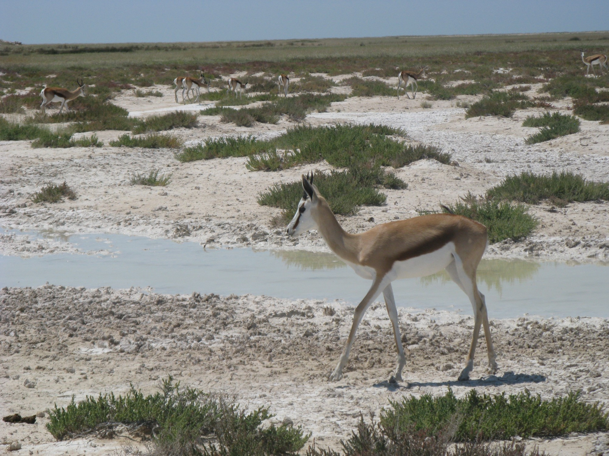 Namibia