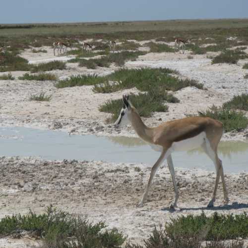 Namibia