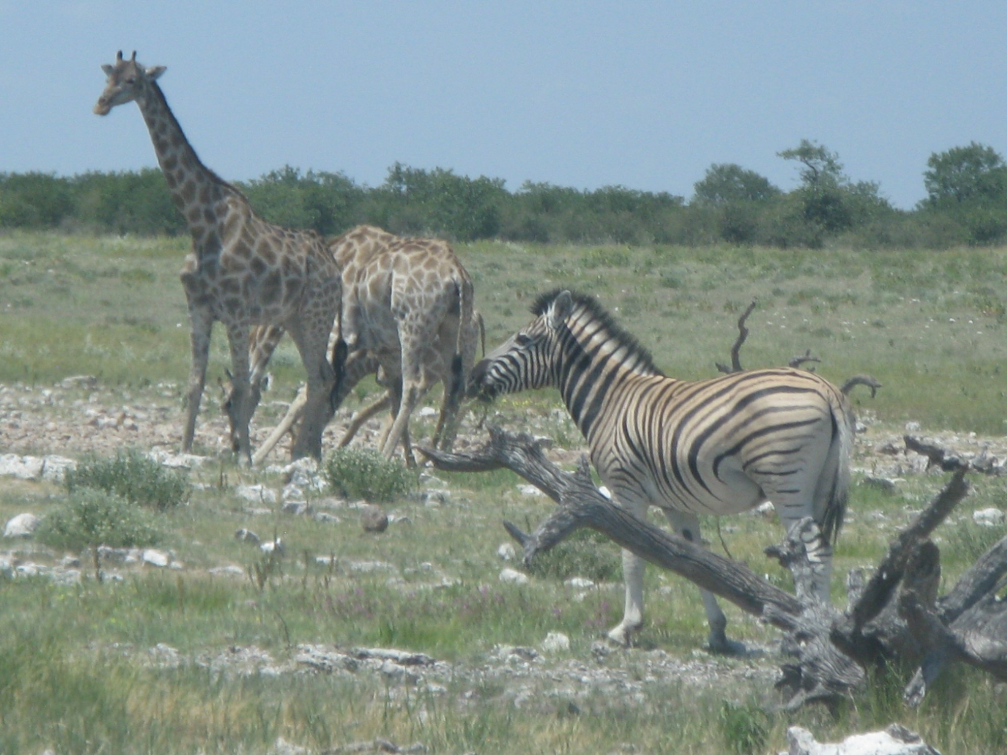 Namibia