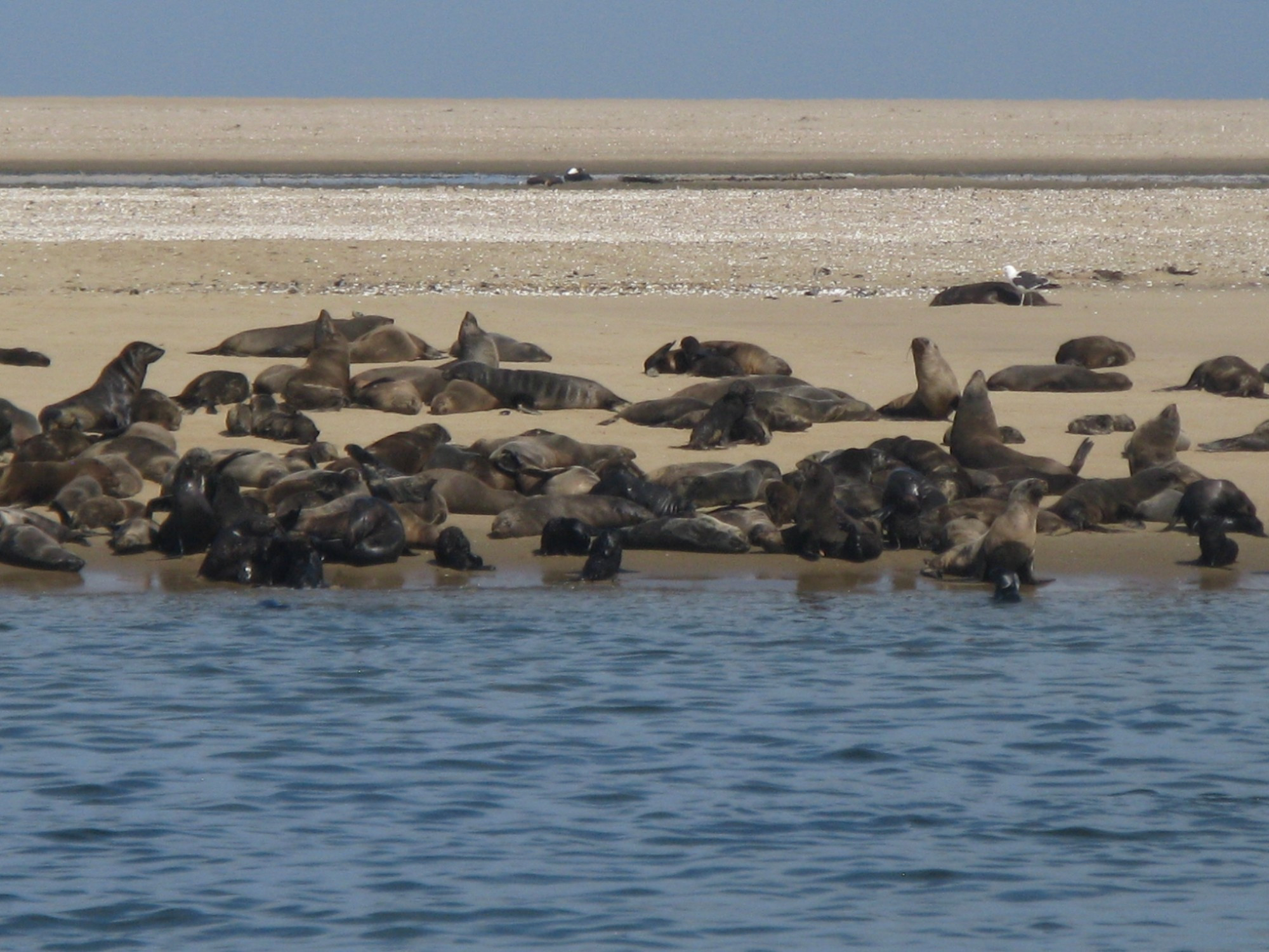 Namibia