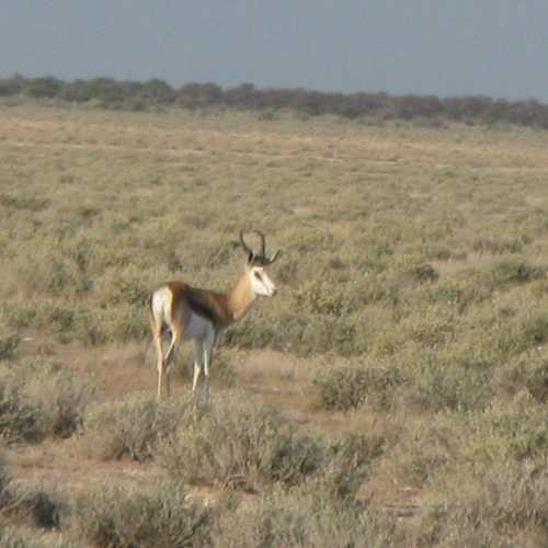 Namibia