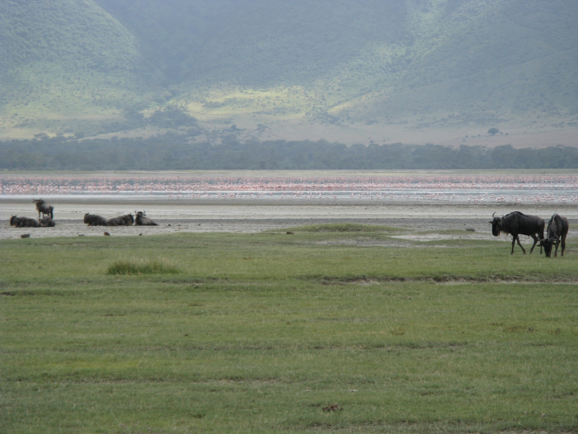 Tanzania