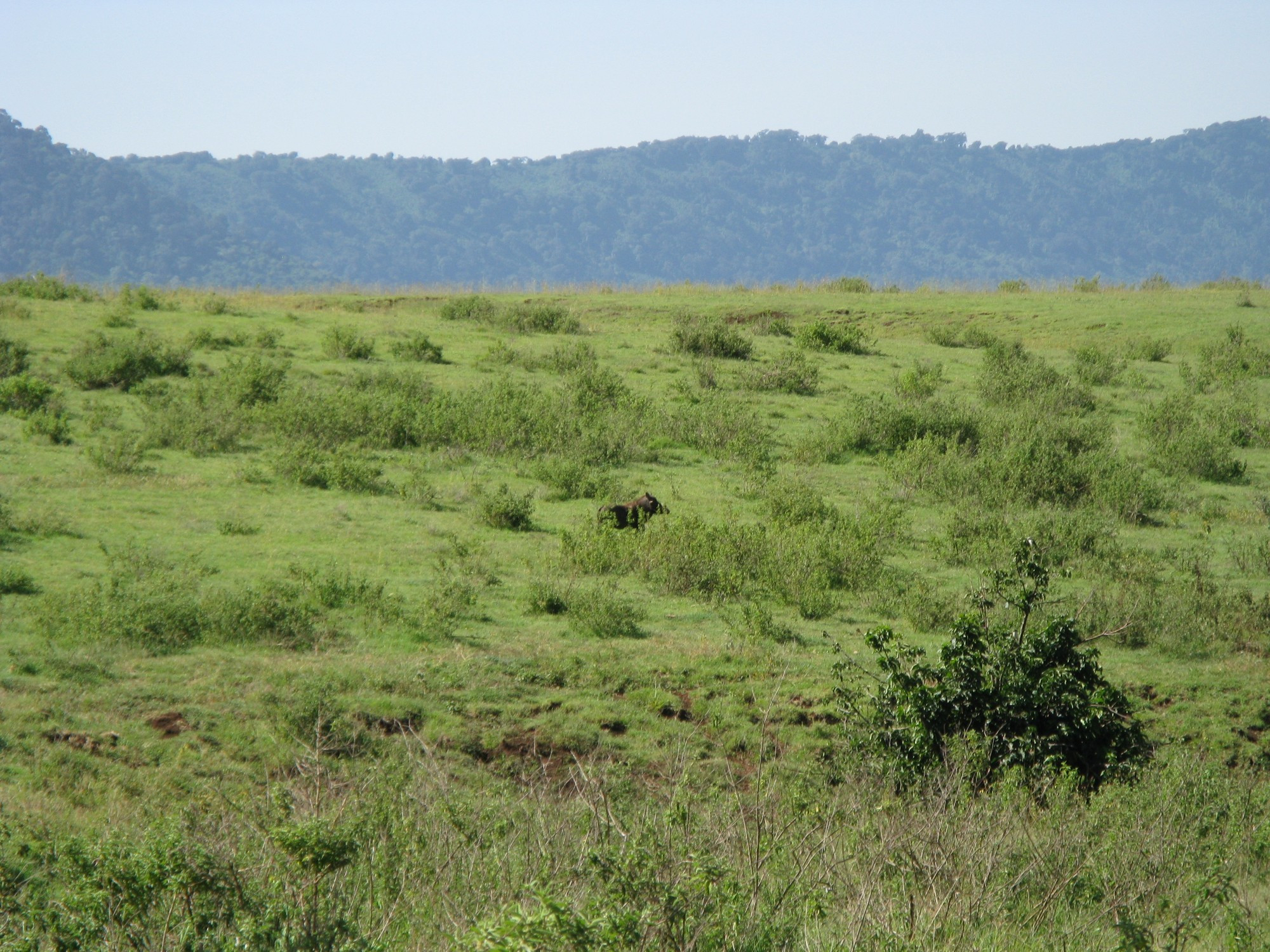 Tanzania