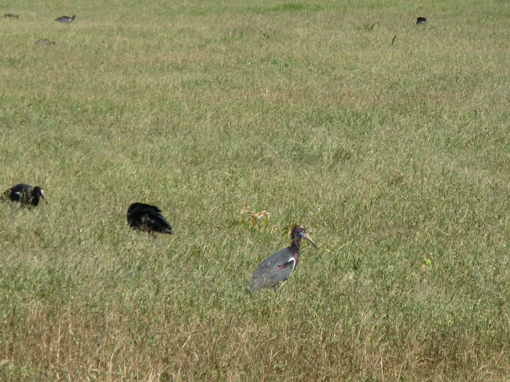 Tanzania