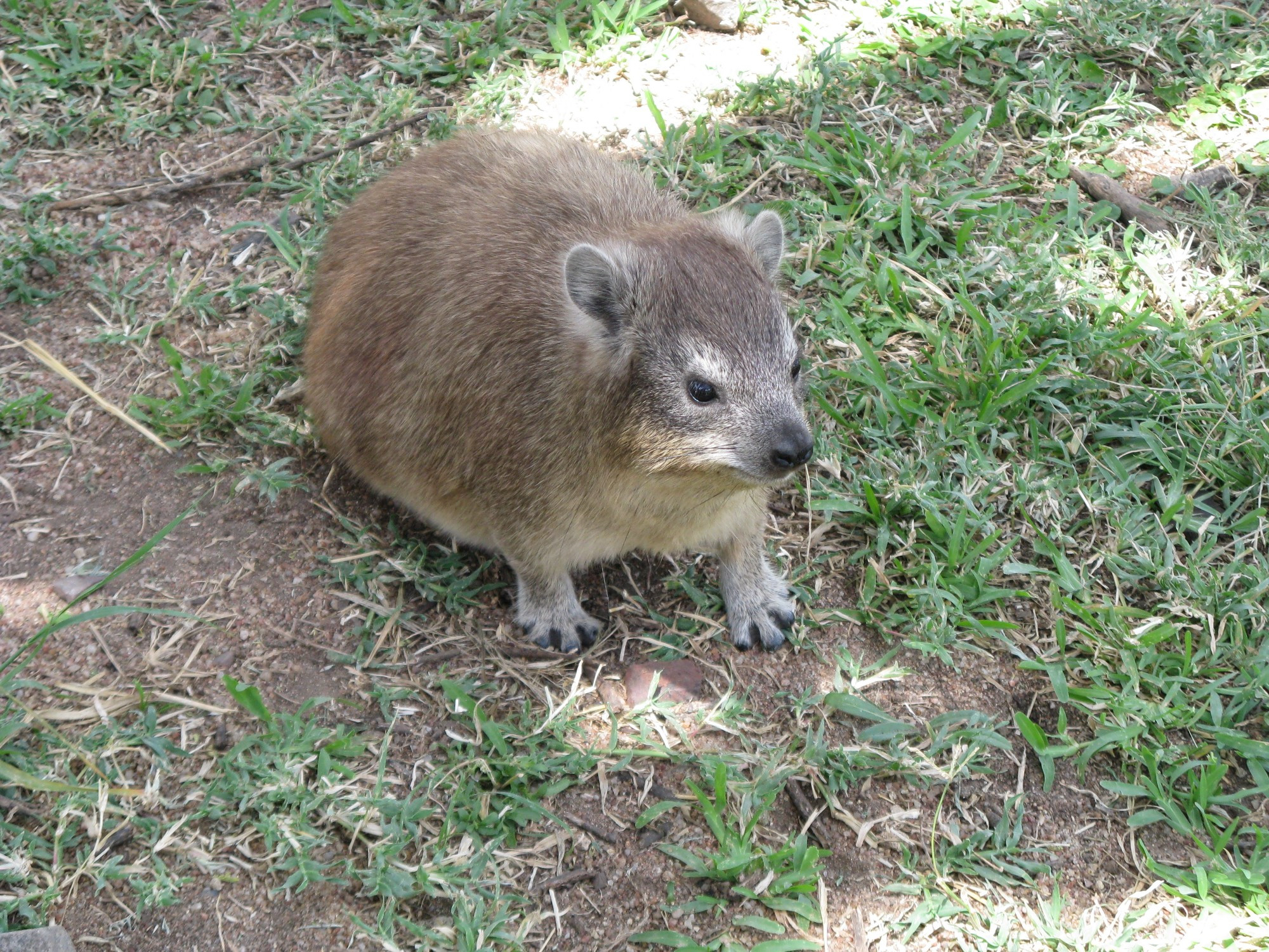 Tanzania