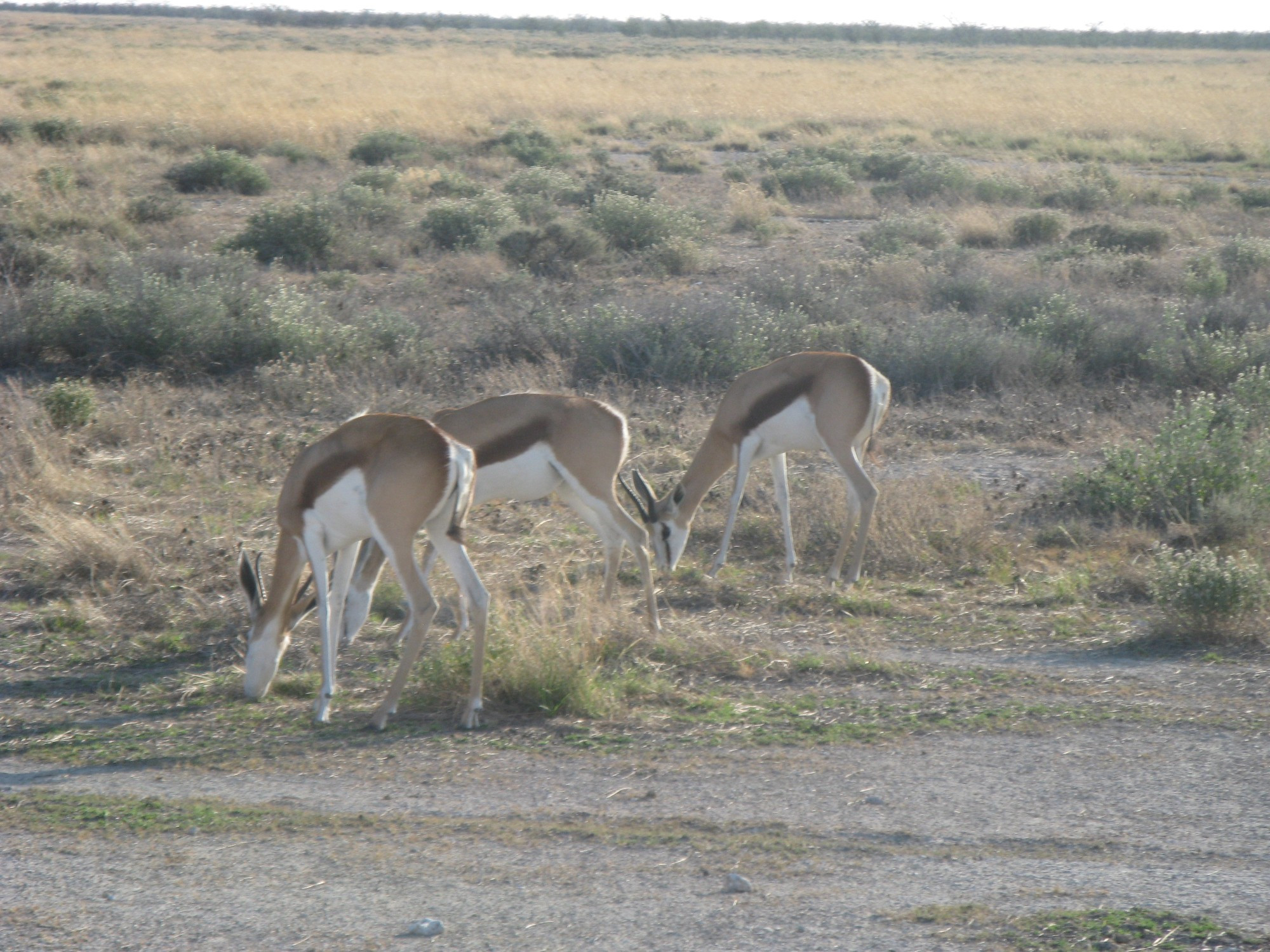 Namibia