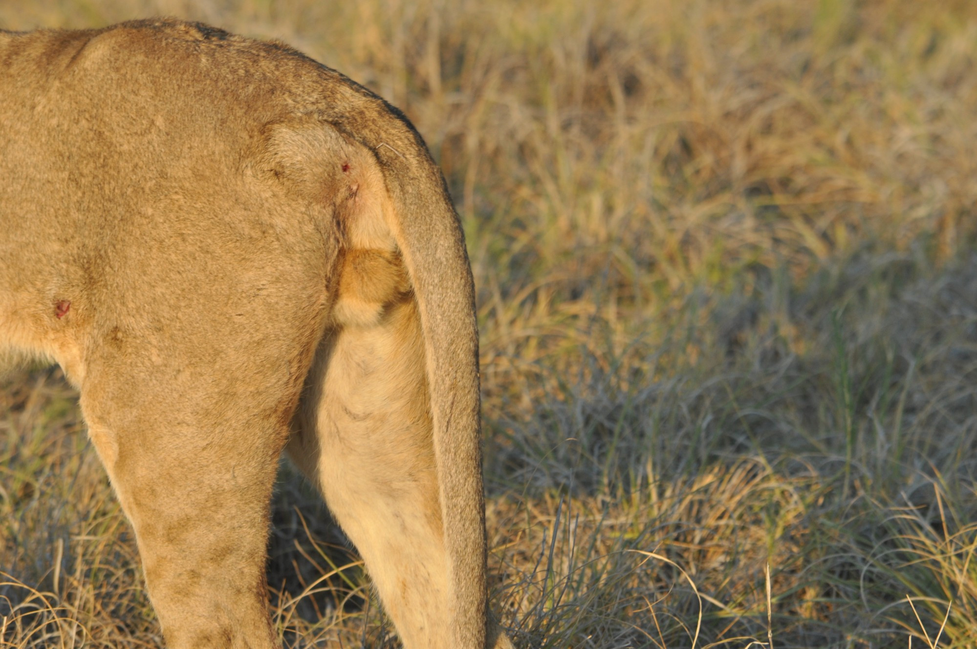 Namibia