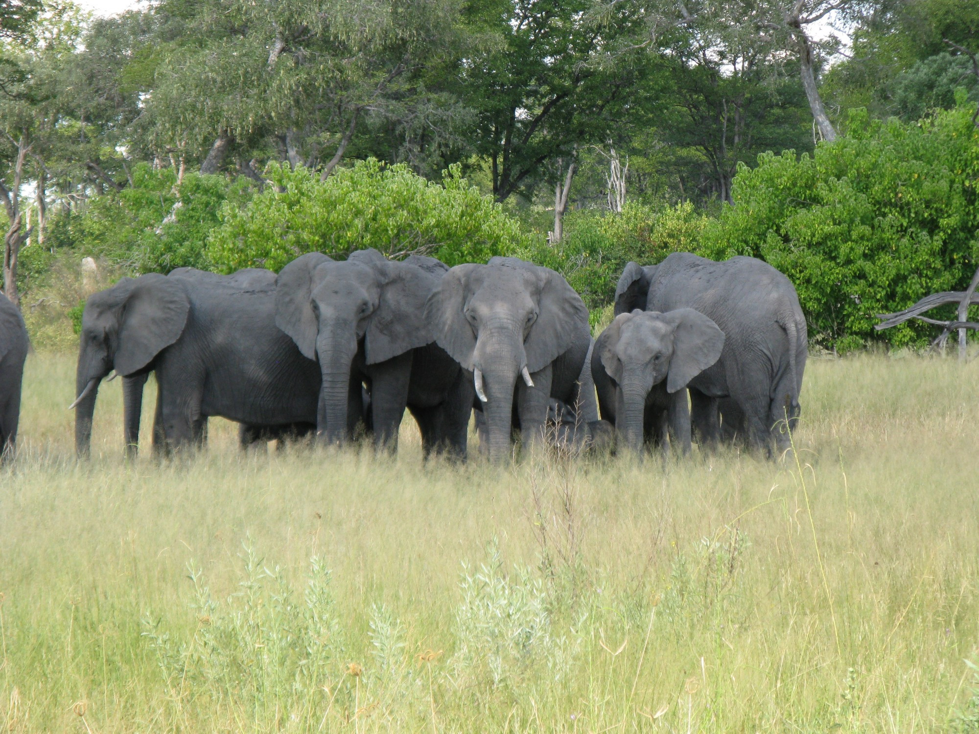 Botswana