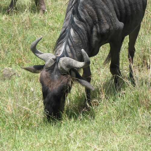 Tanzania