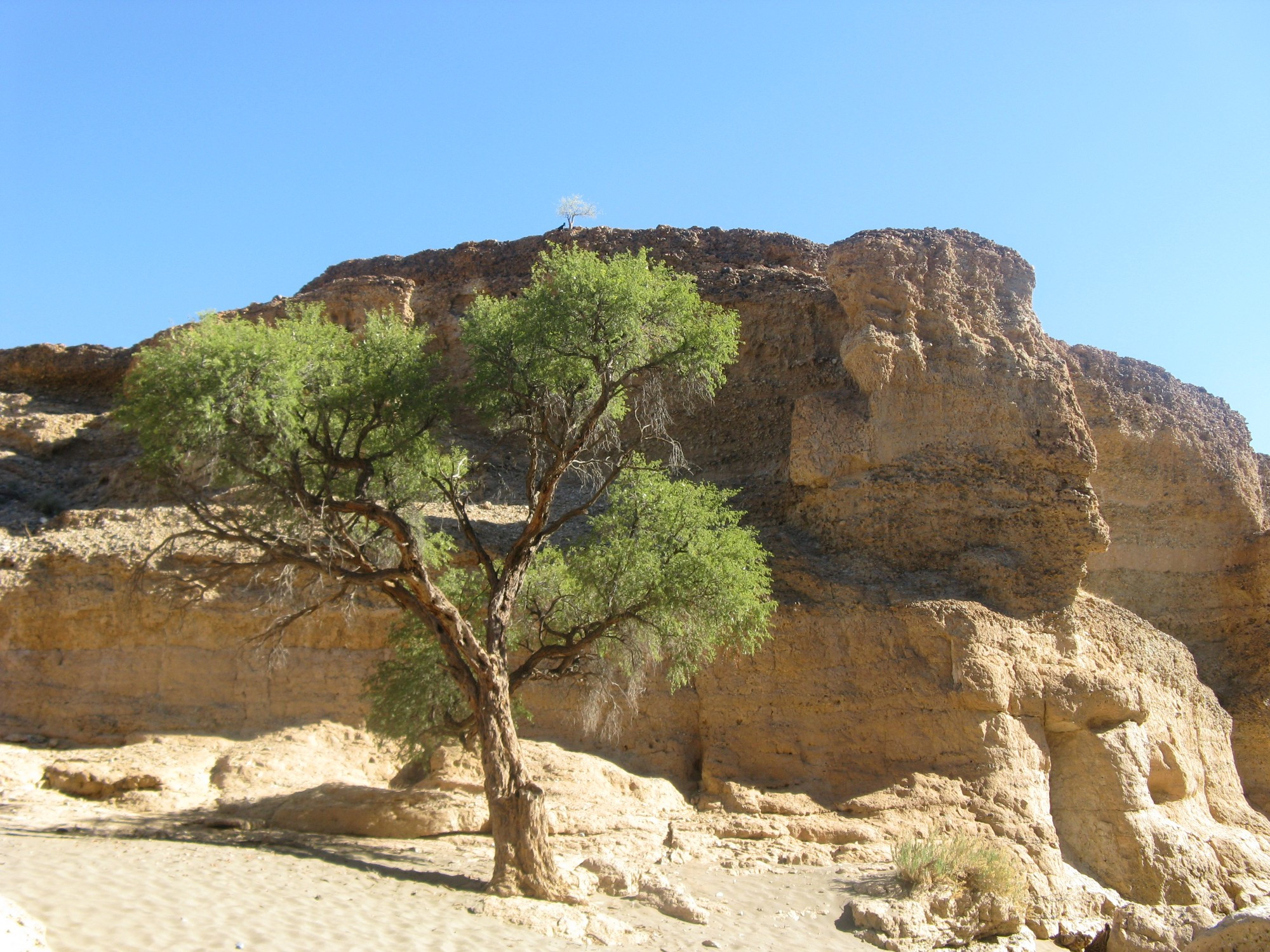 Namibia