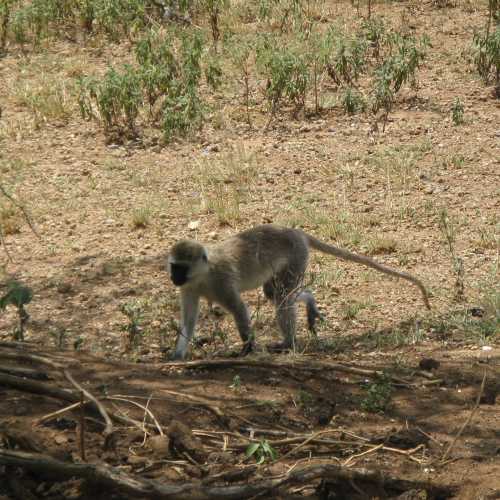 Tanzania