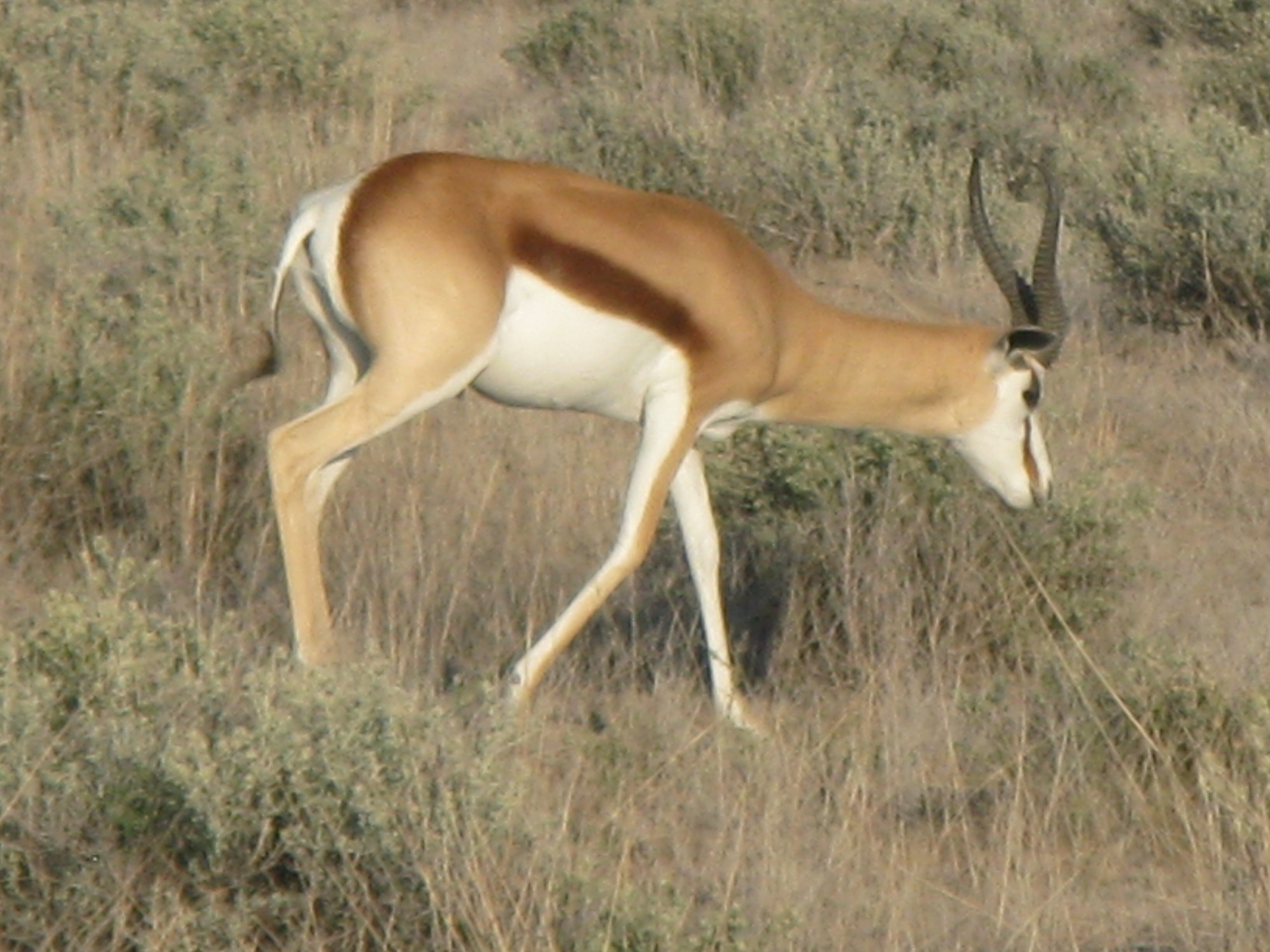 Namibia