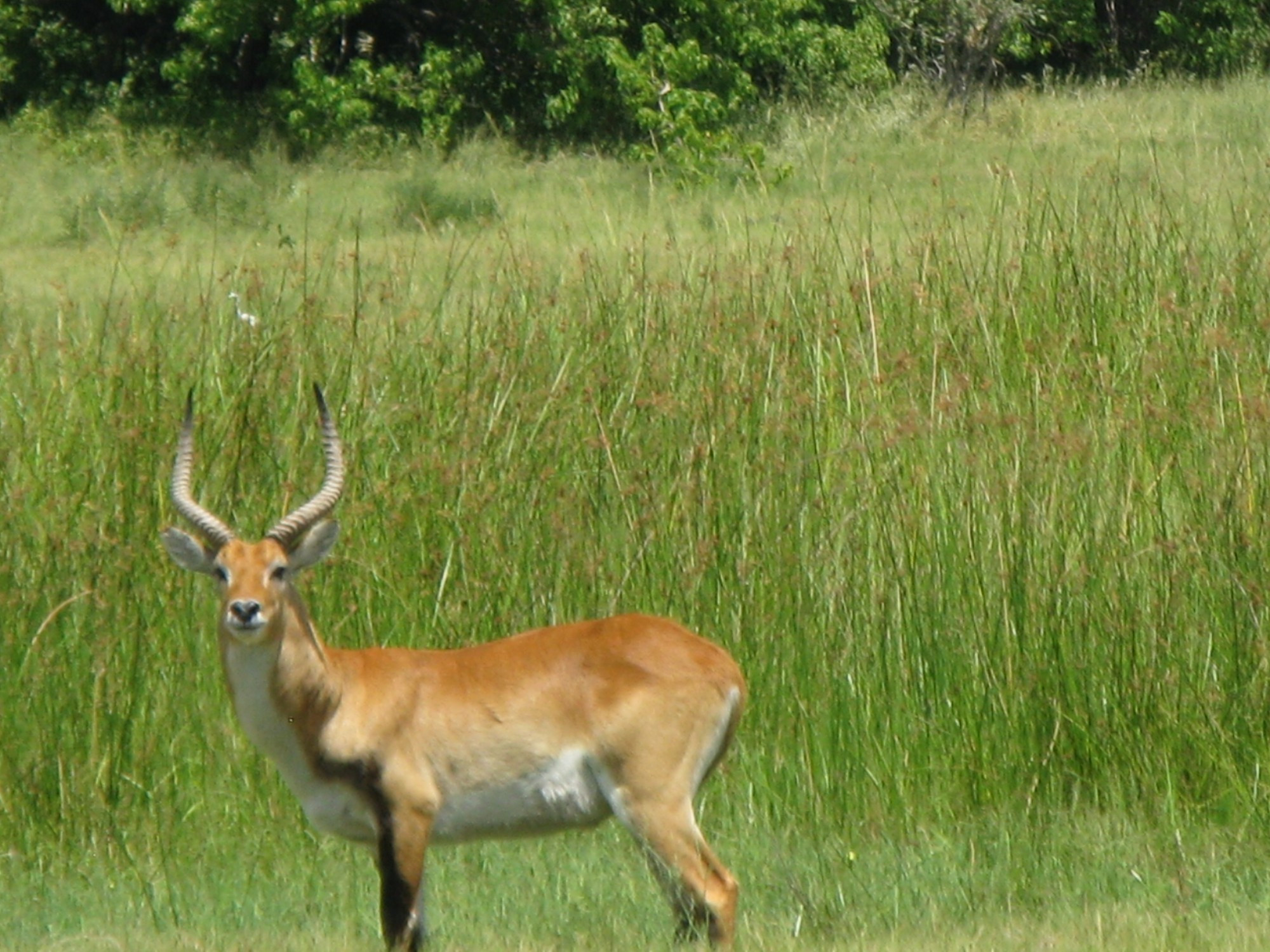 Botswana