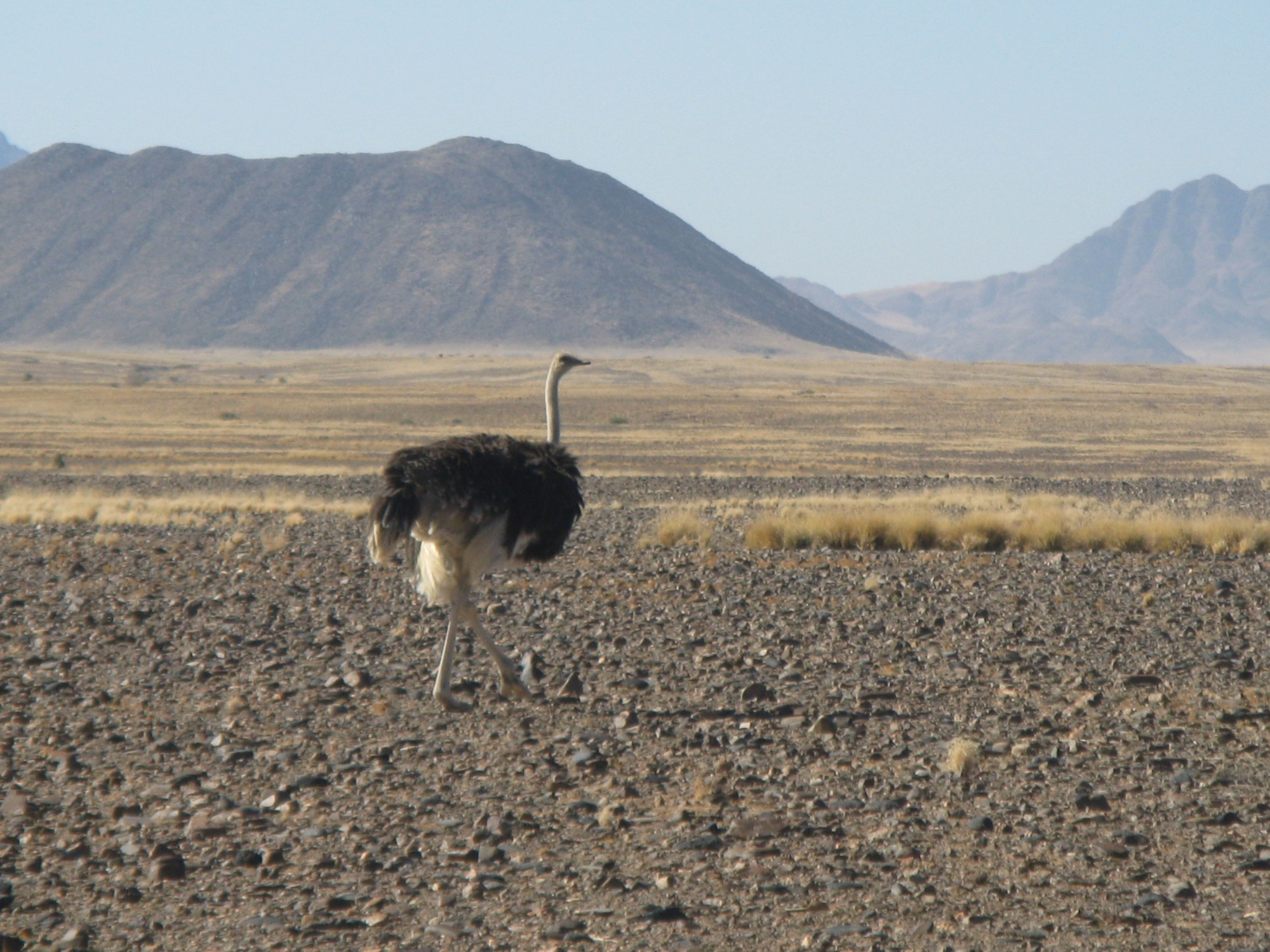 Namibia