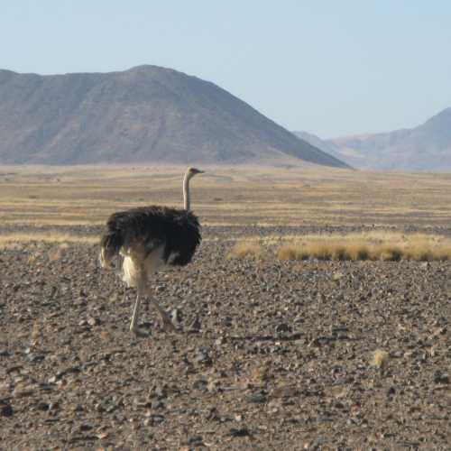 Namibia