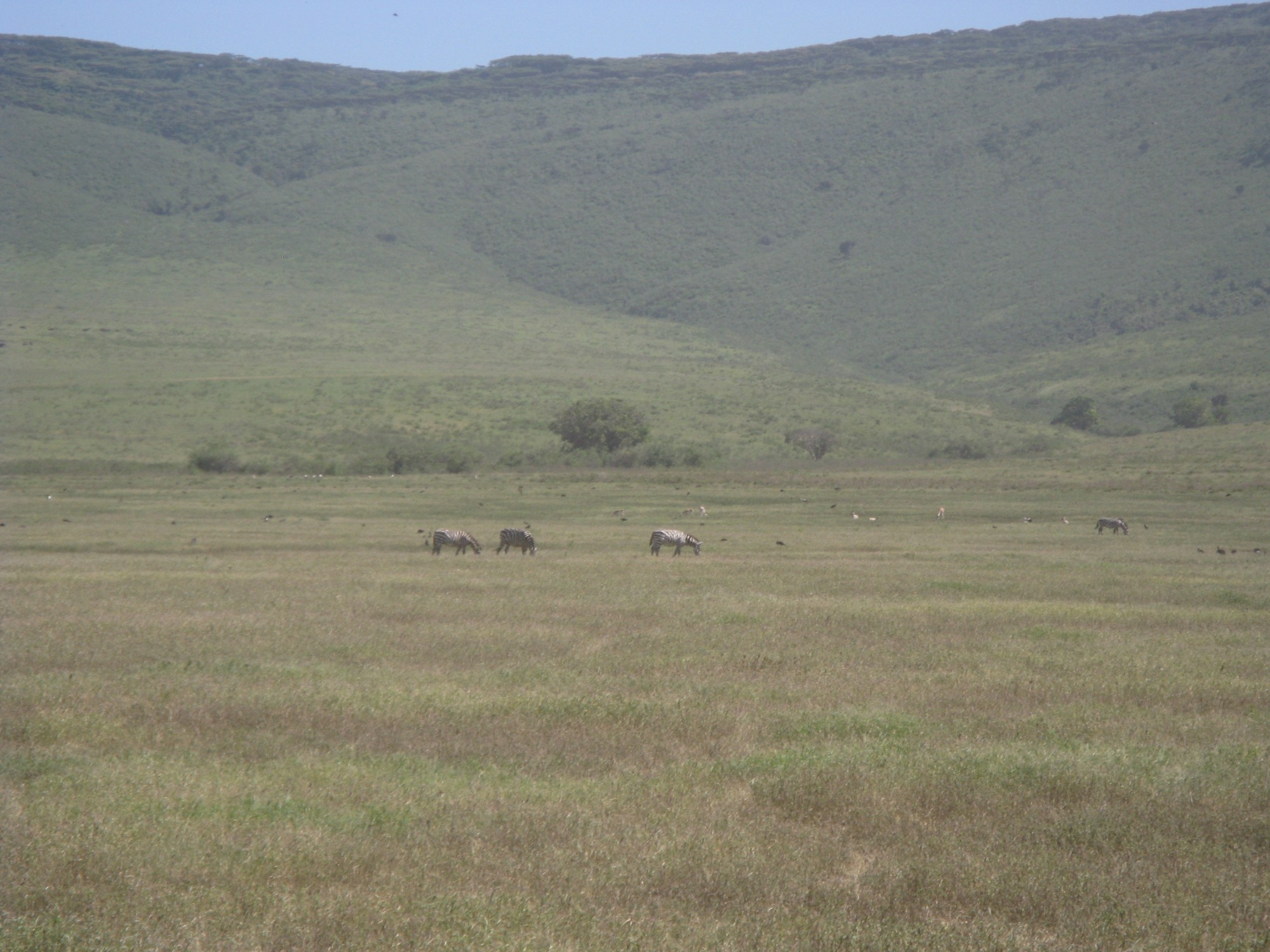 Tanzania