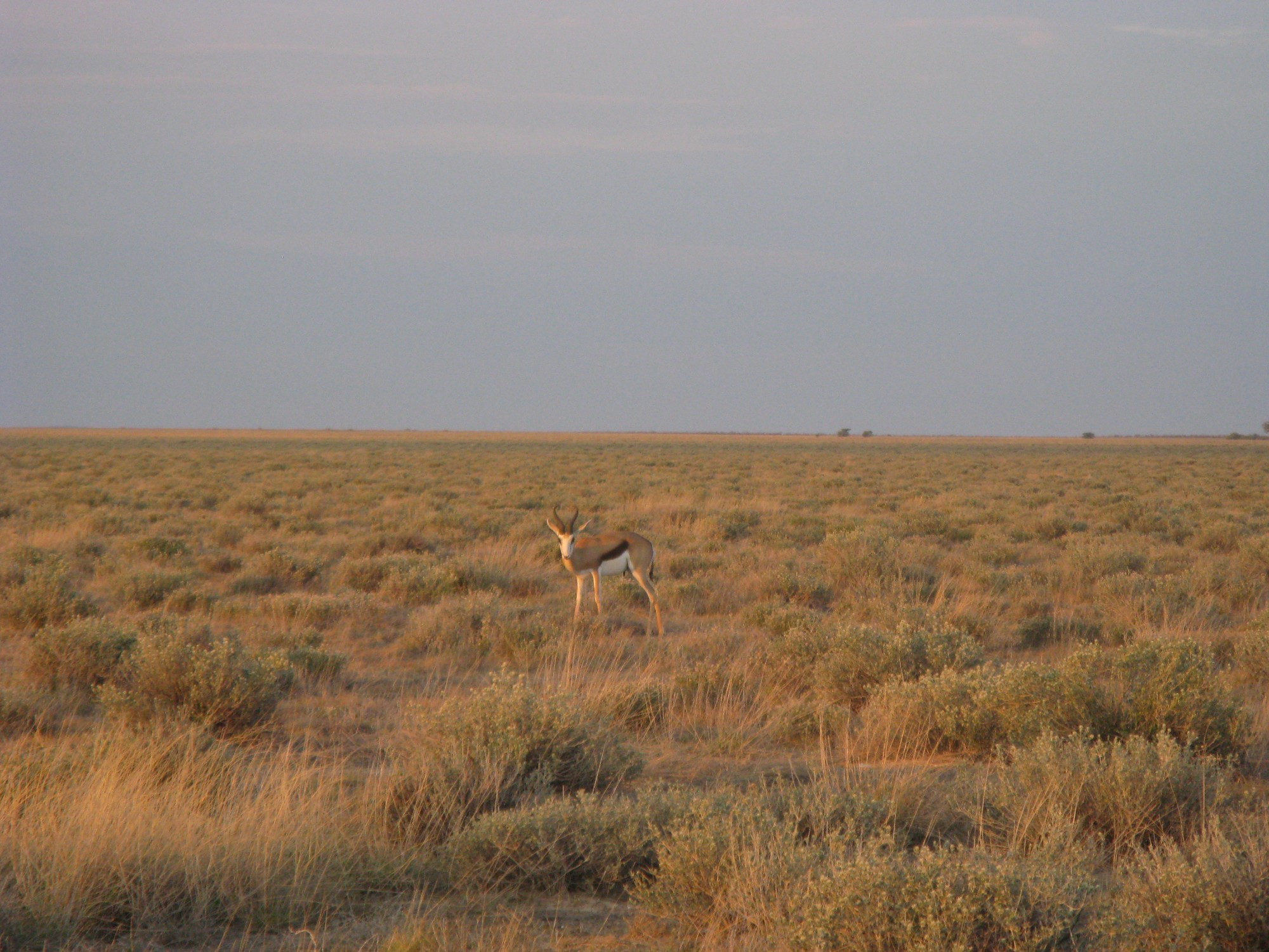 Namibia