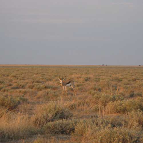 Namibia