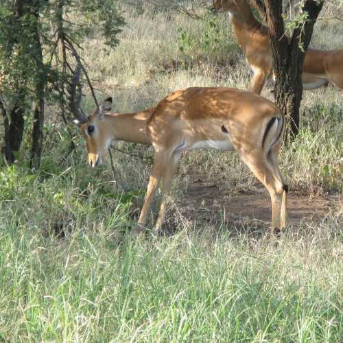 Tanzania