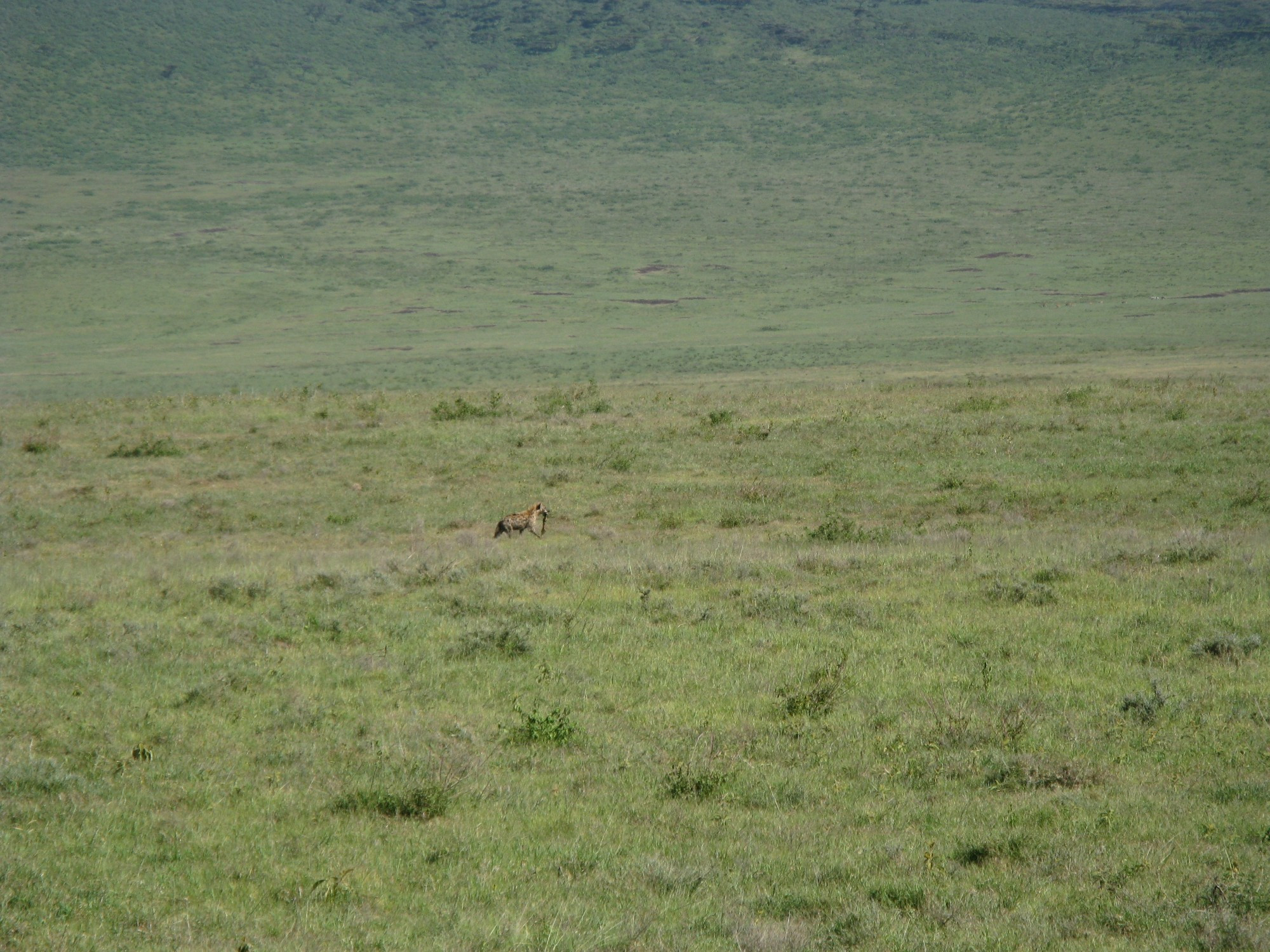 Tanzania