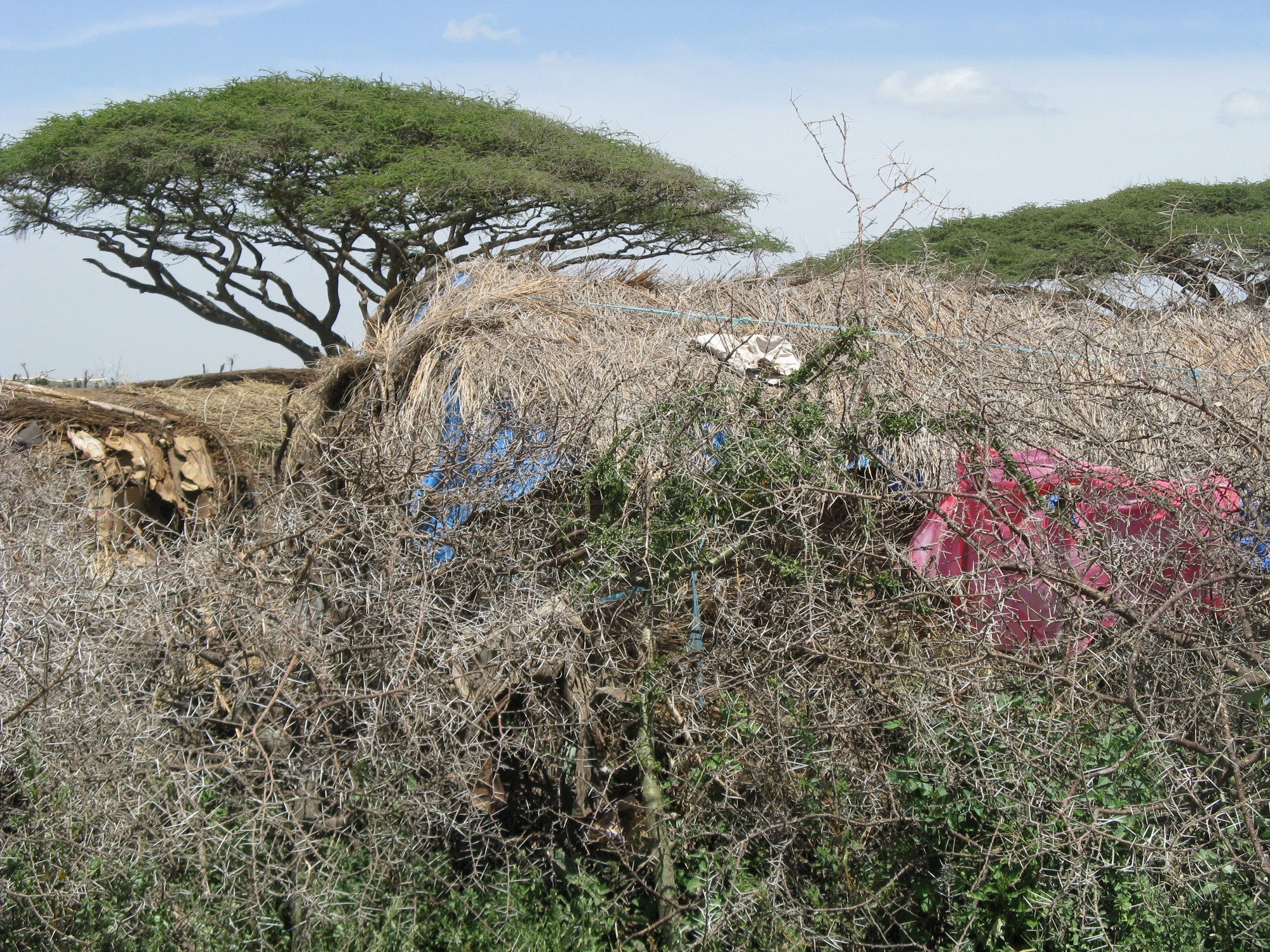 Tanzania