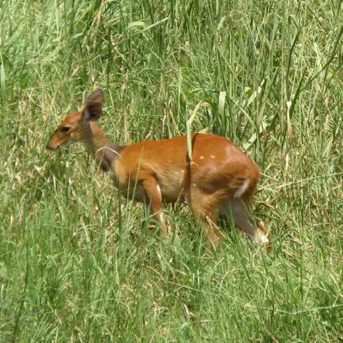 Tanzania