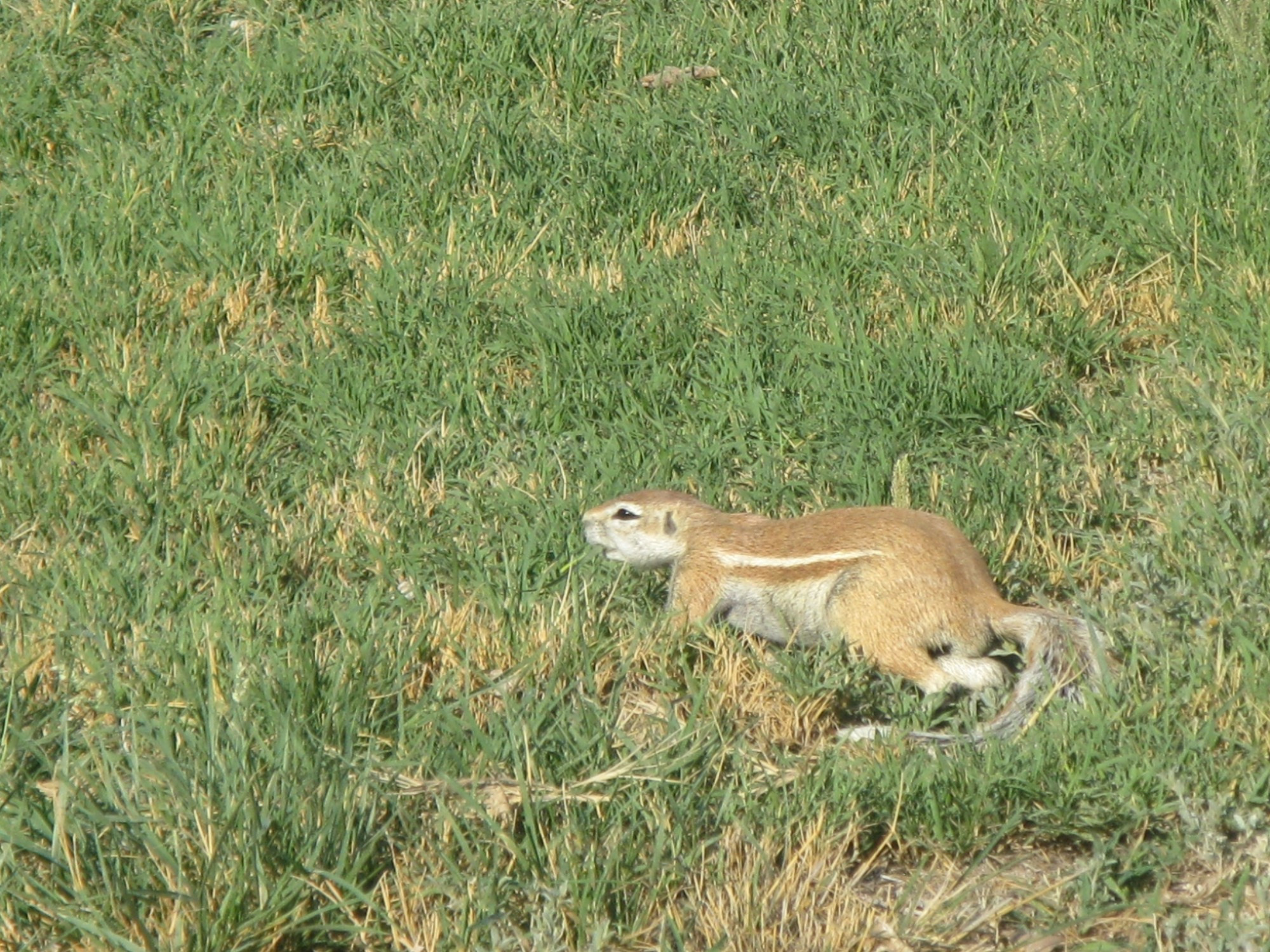 Namibia