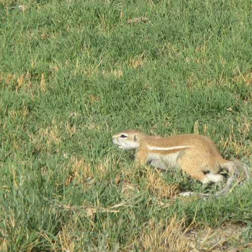 Namibia