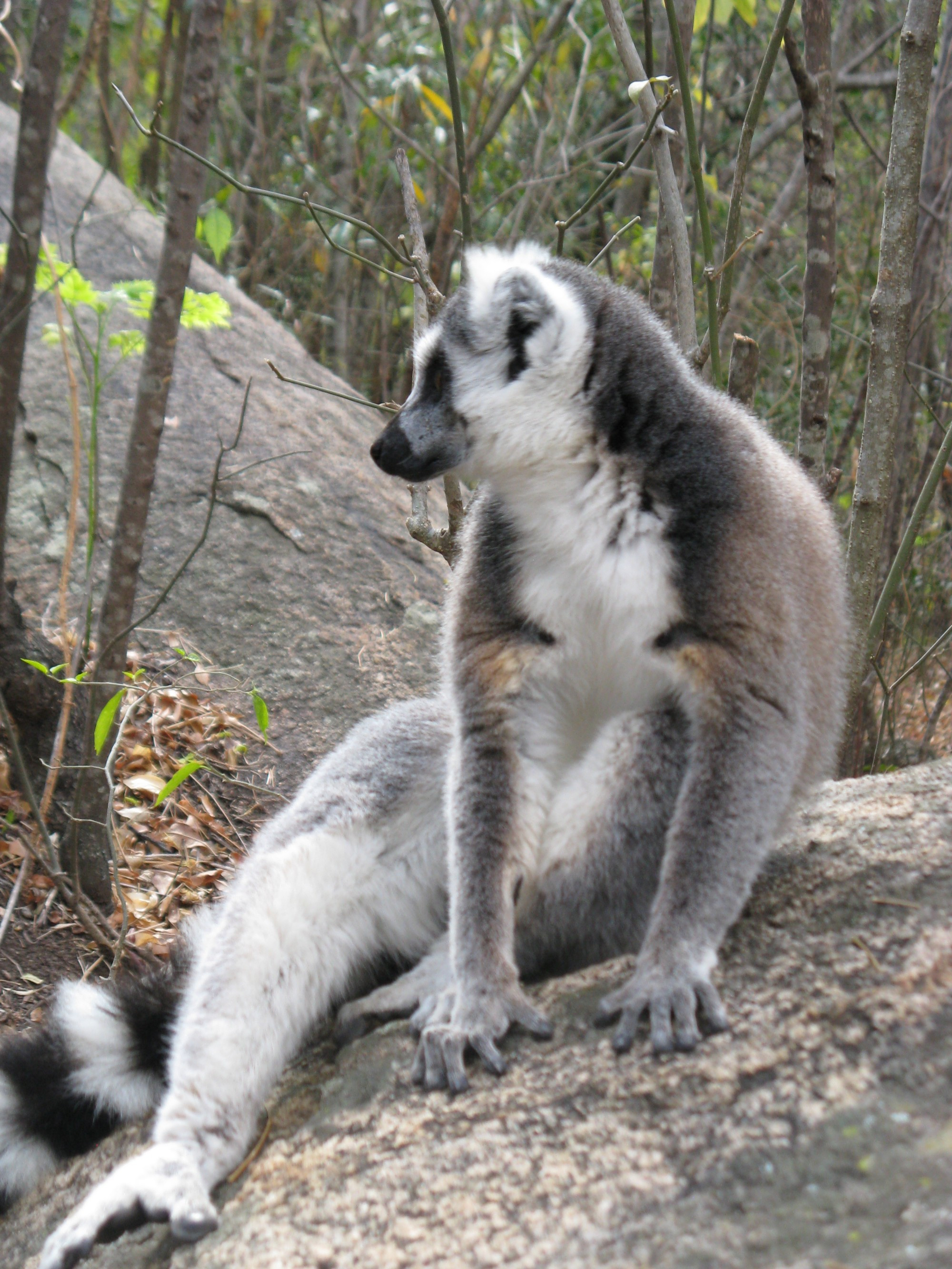 Madagascar