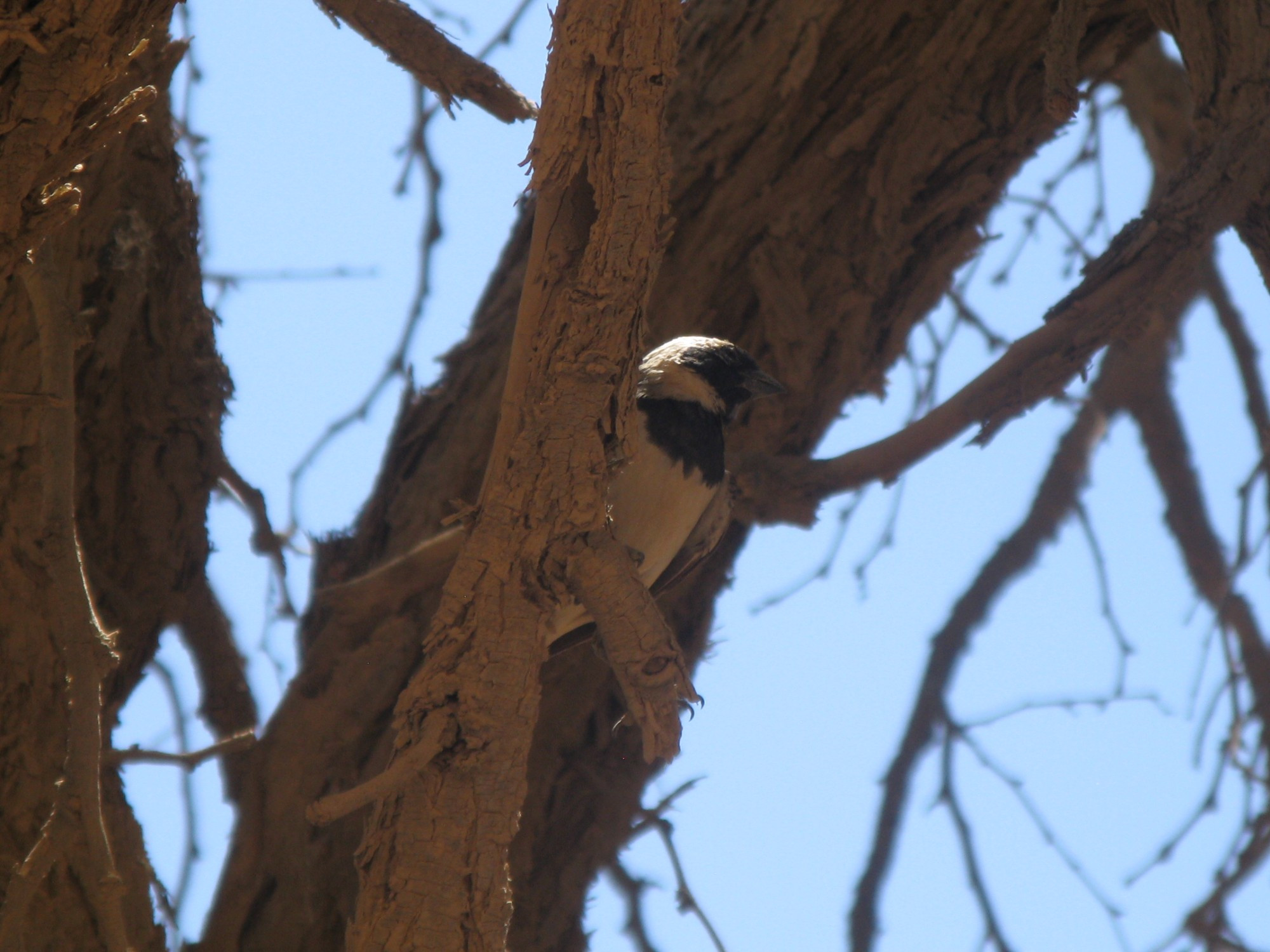 Namibia