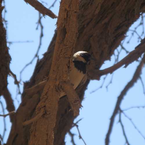 Namibia