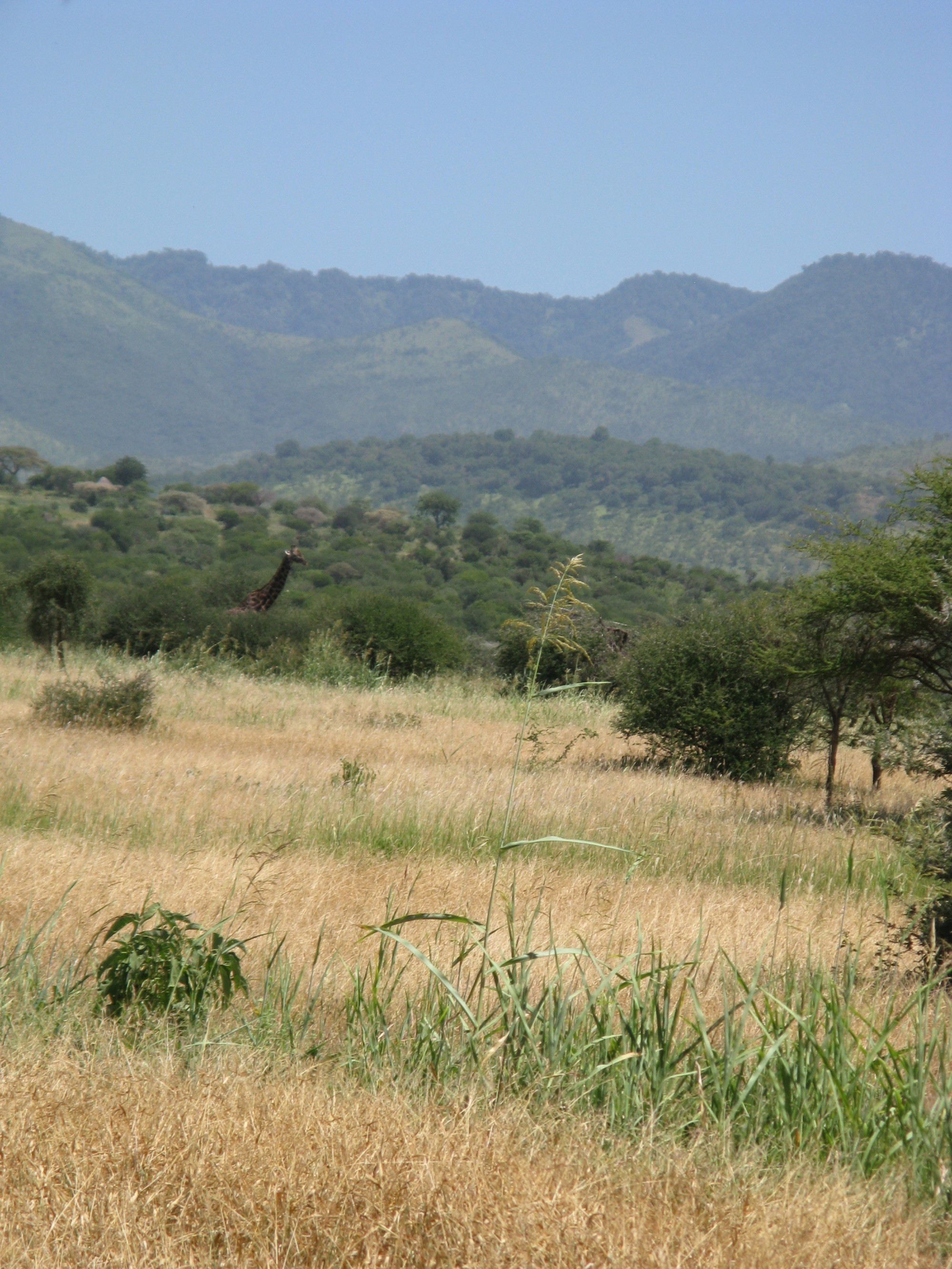 Tanzania