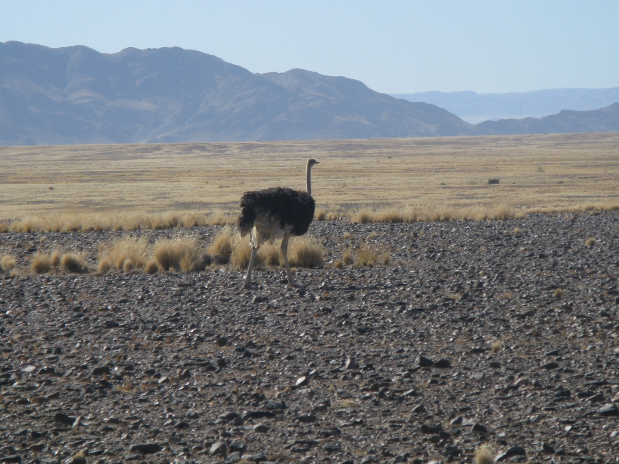 Namibia