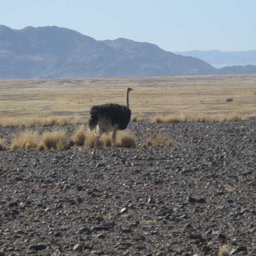 Namibia