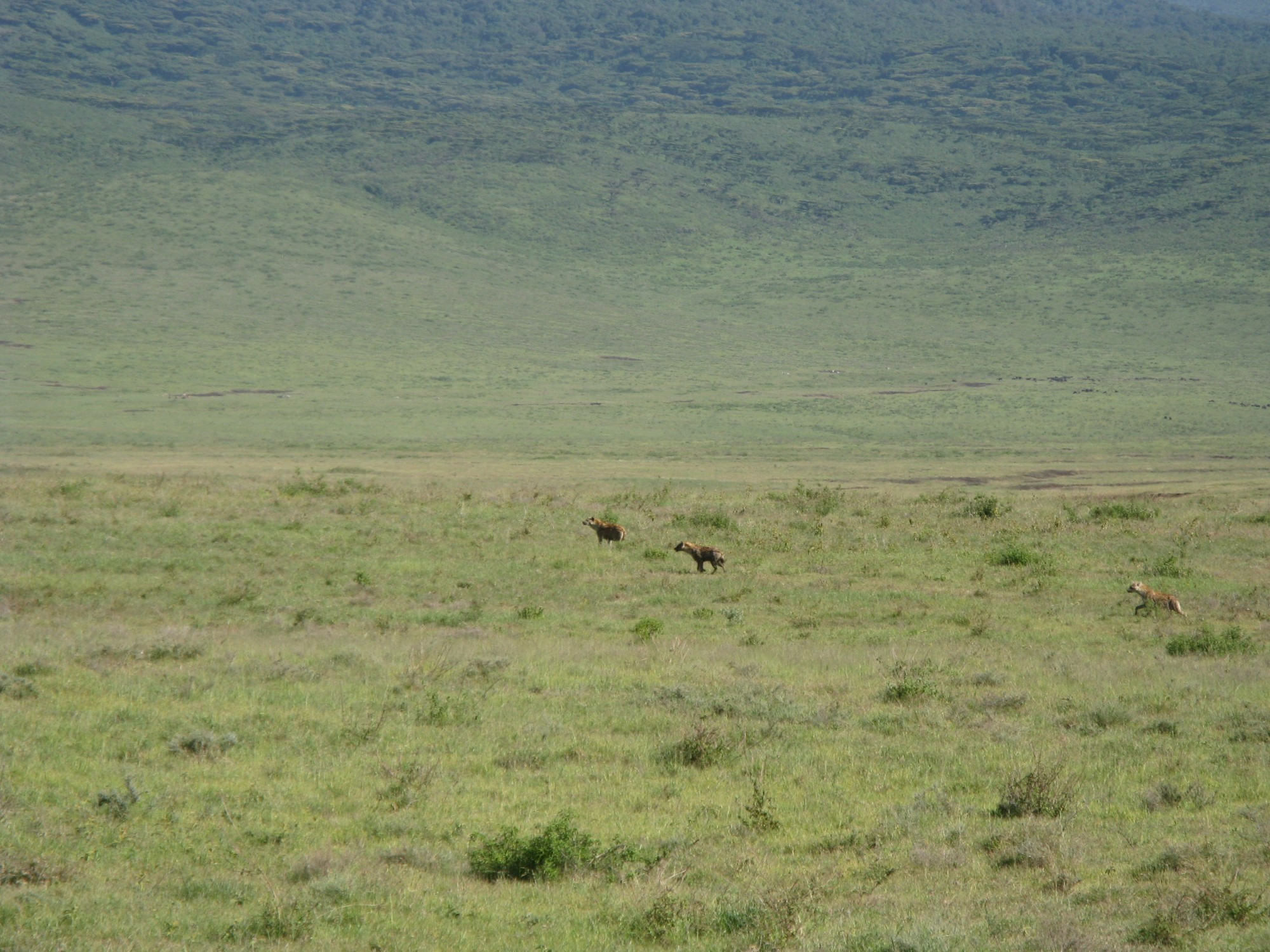 Tanzania