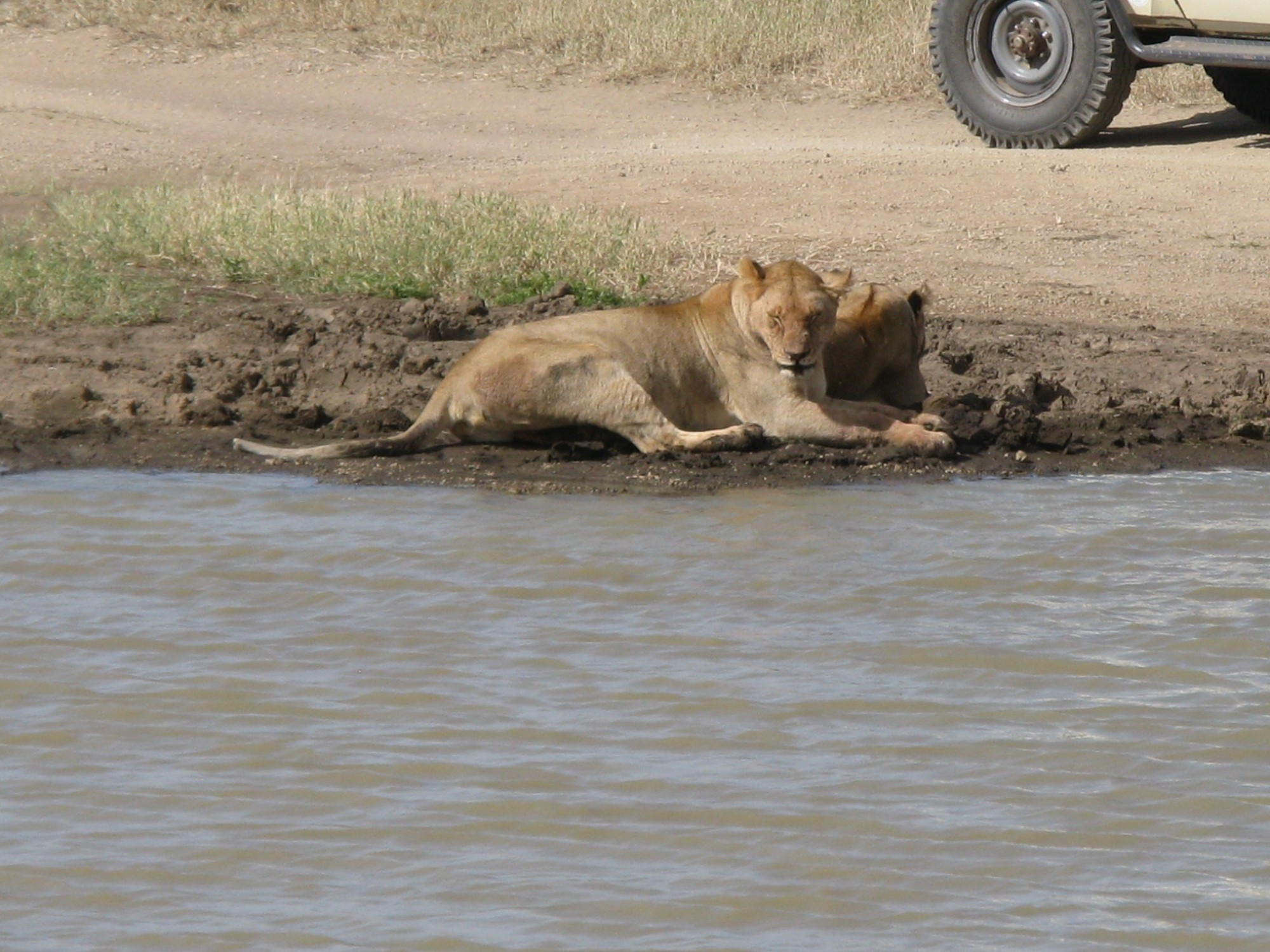 Tanzania